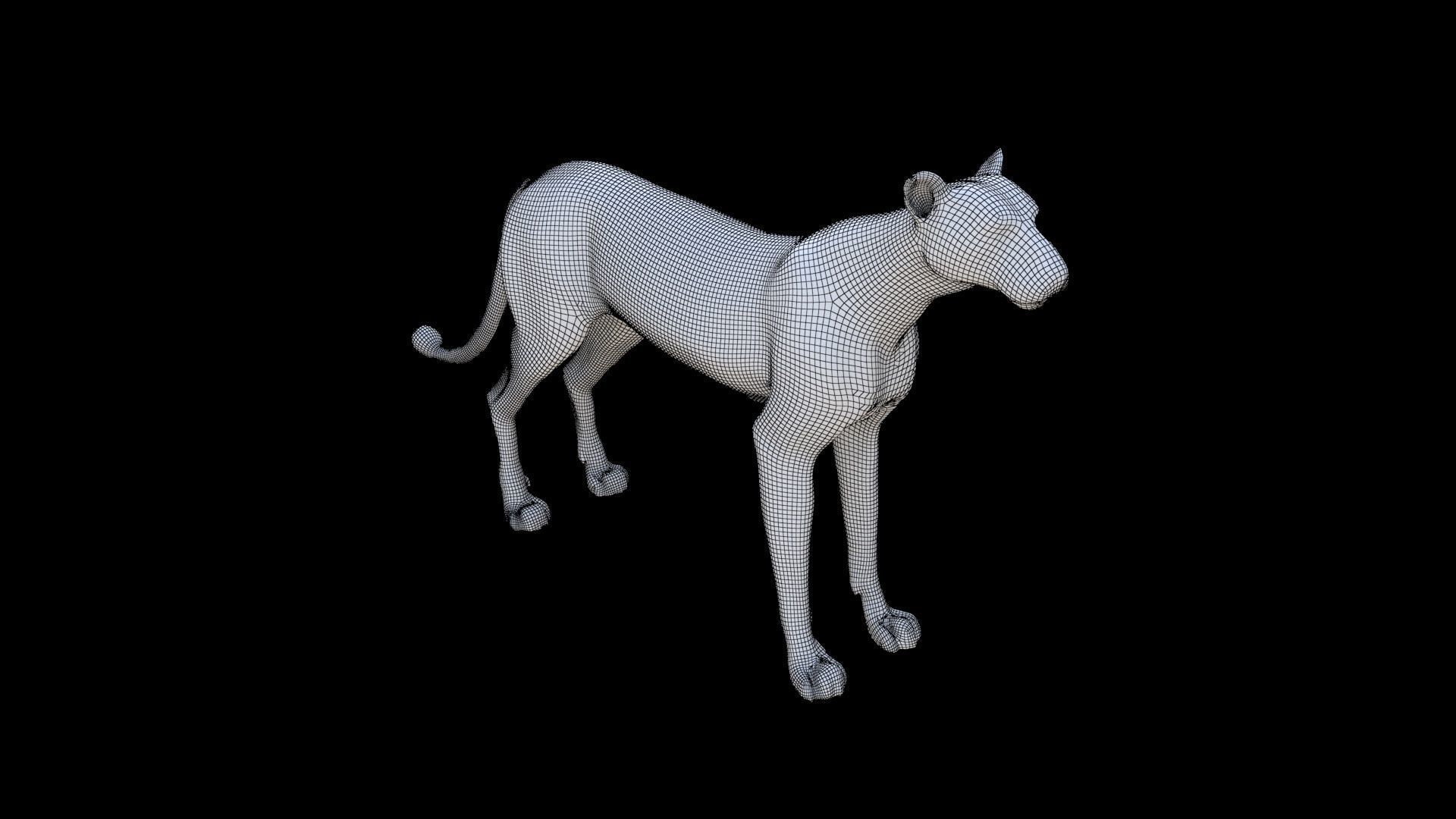Cheetah 3D model_5
