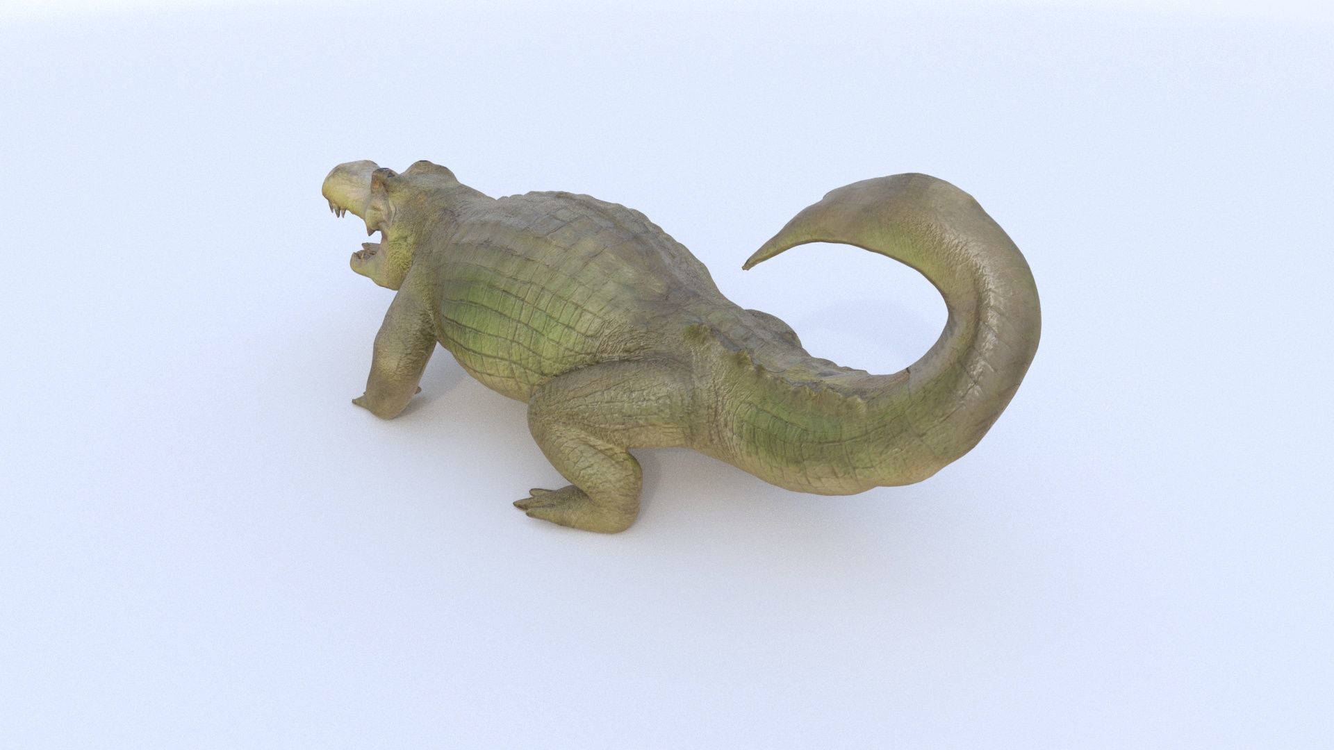 Crocodile 3D model_3