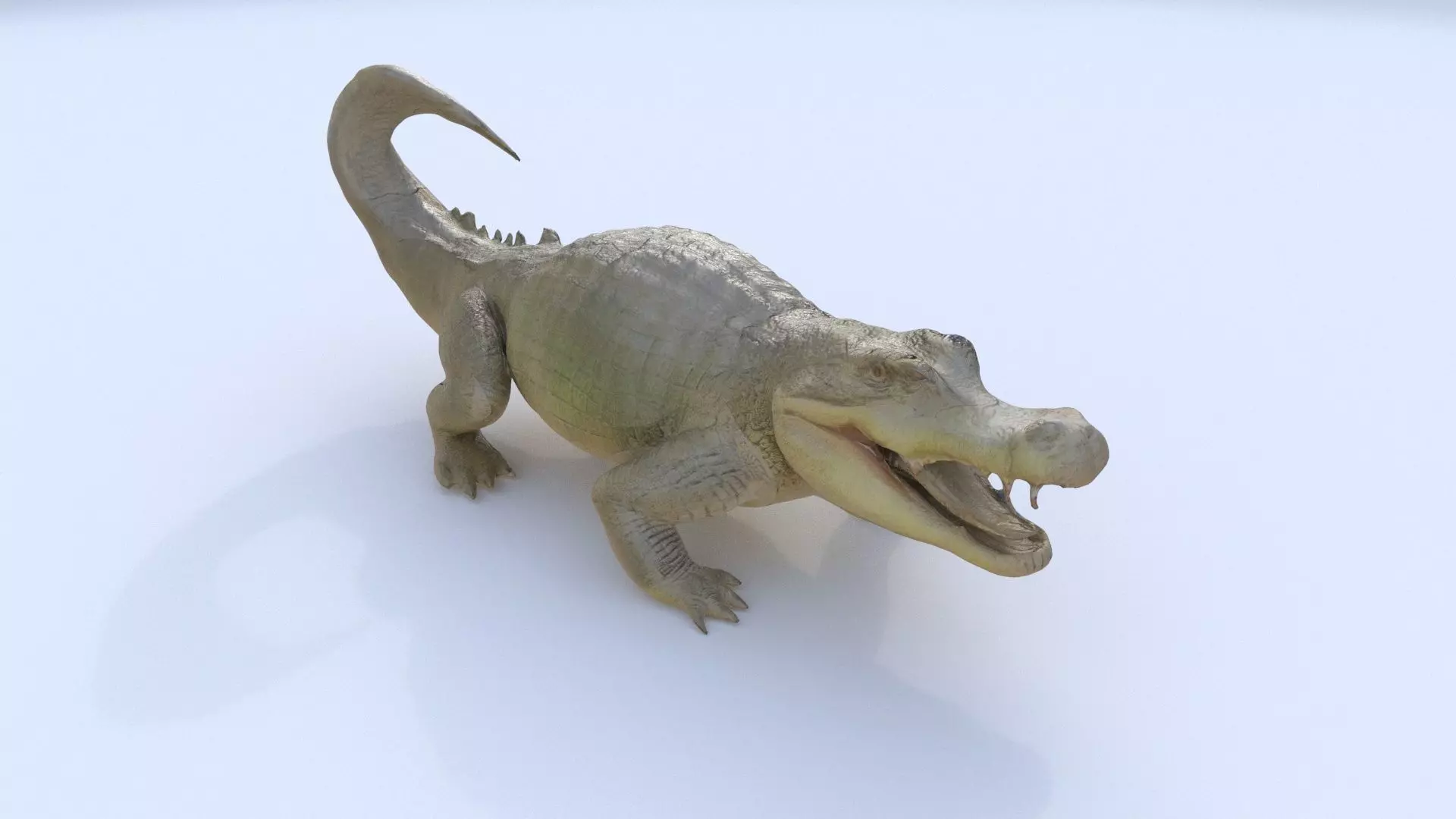 Crocodile 3D model_0
