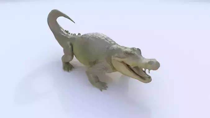 Crocodile 3D model