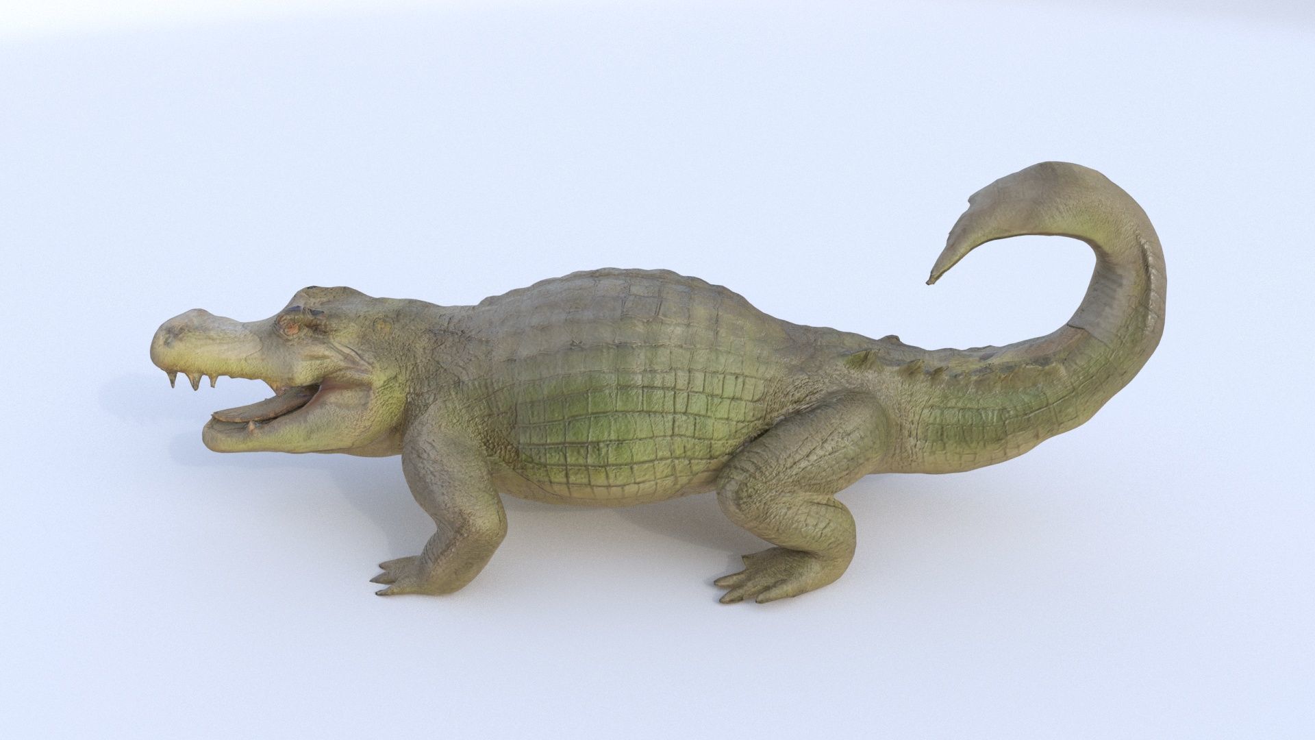 Crocodile 3D model_2