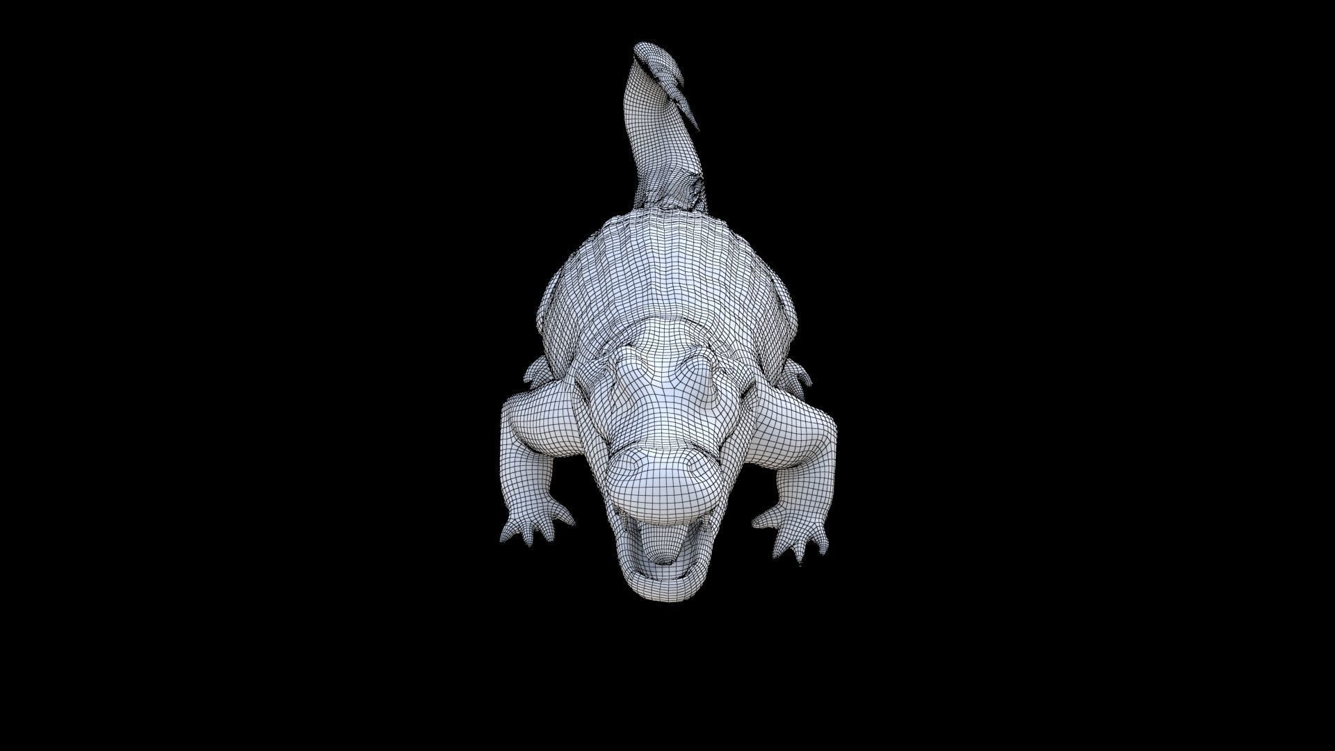 Crocodile 3D model_6