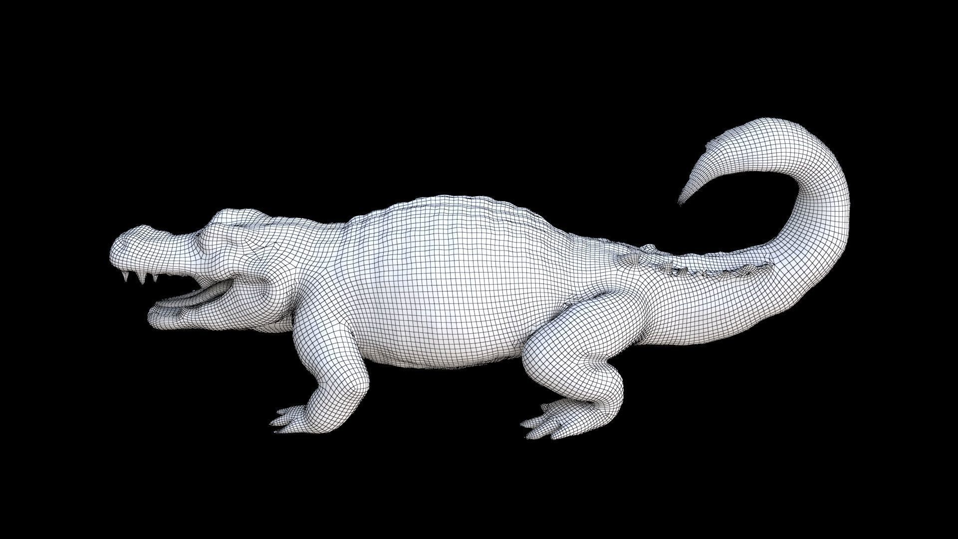 Crocodile 3D model_7
