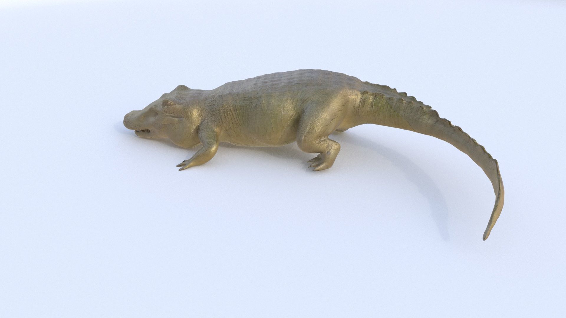 Crocodile 1 3D model_2