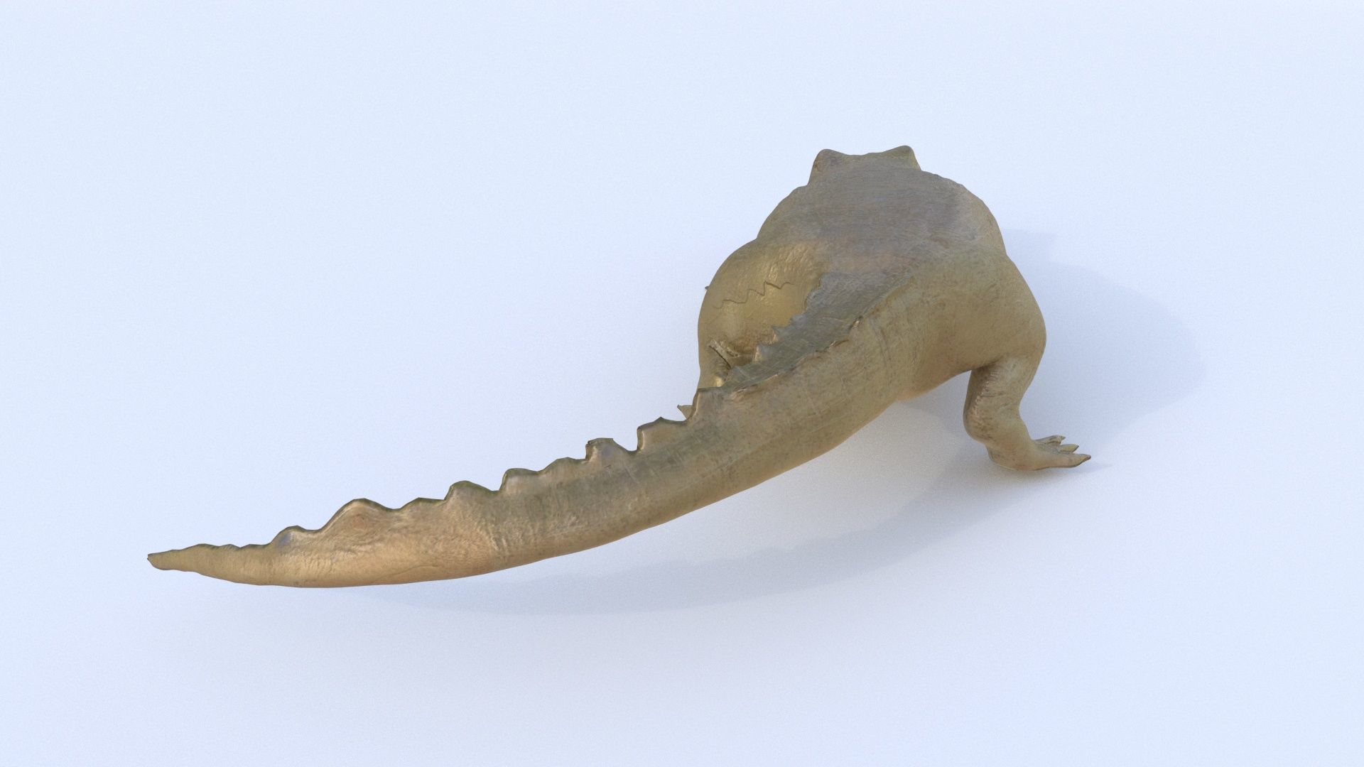 Crocodile 1 3D model_4
