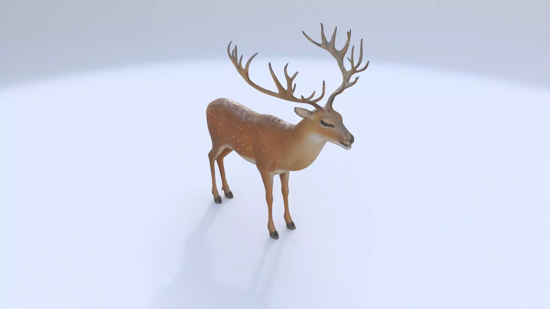 Deer 1 3D model_0