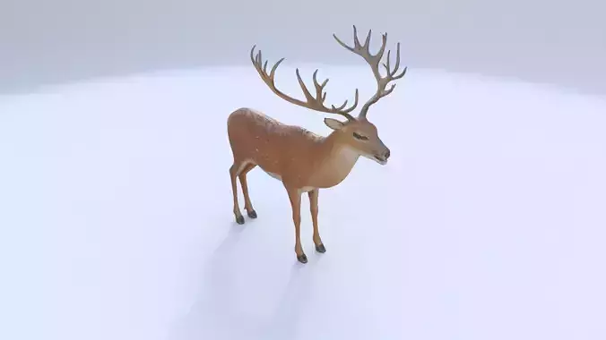 Deer 1 3D model