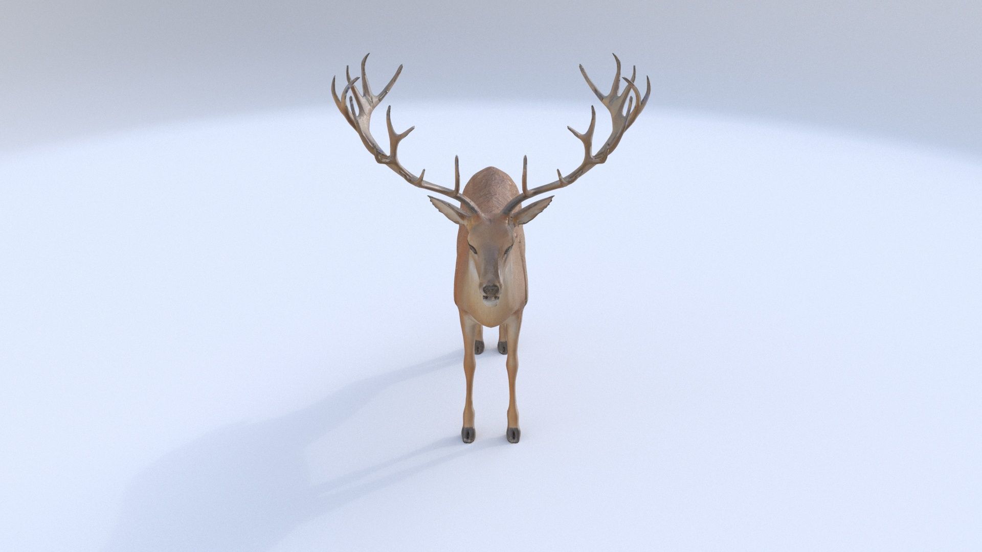 Deer 1 3D model_1