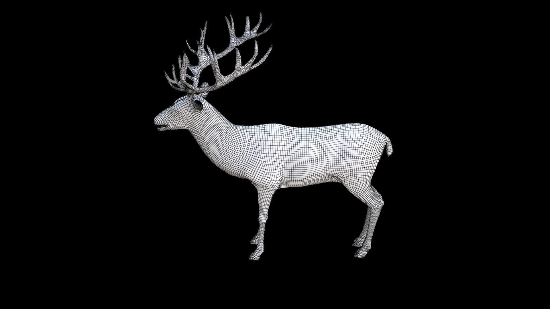 Deer 1 3D model_7