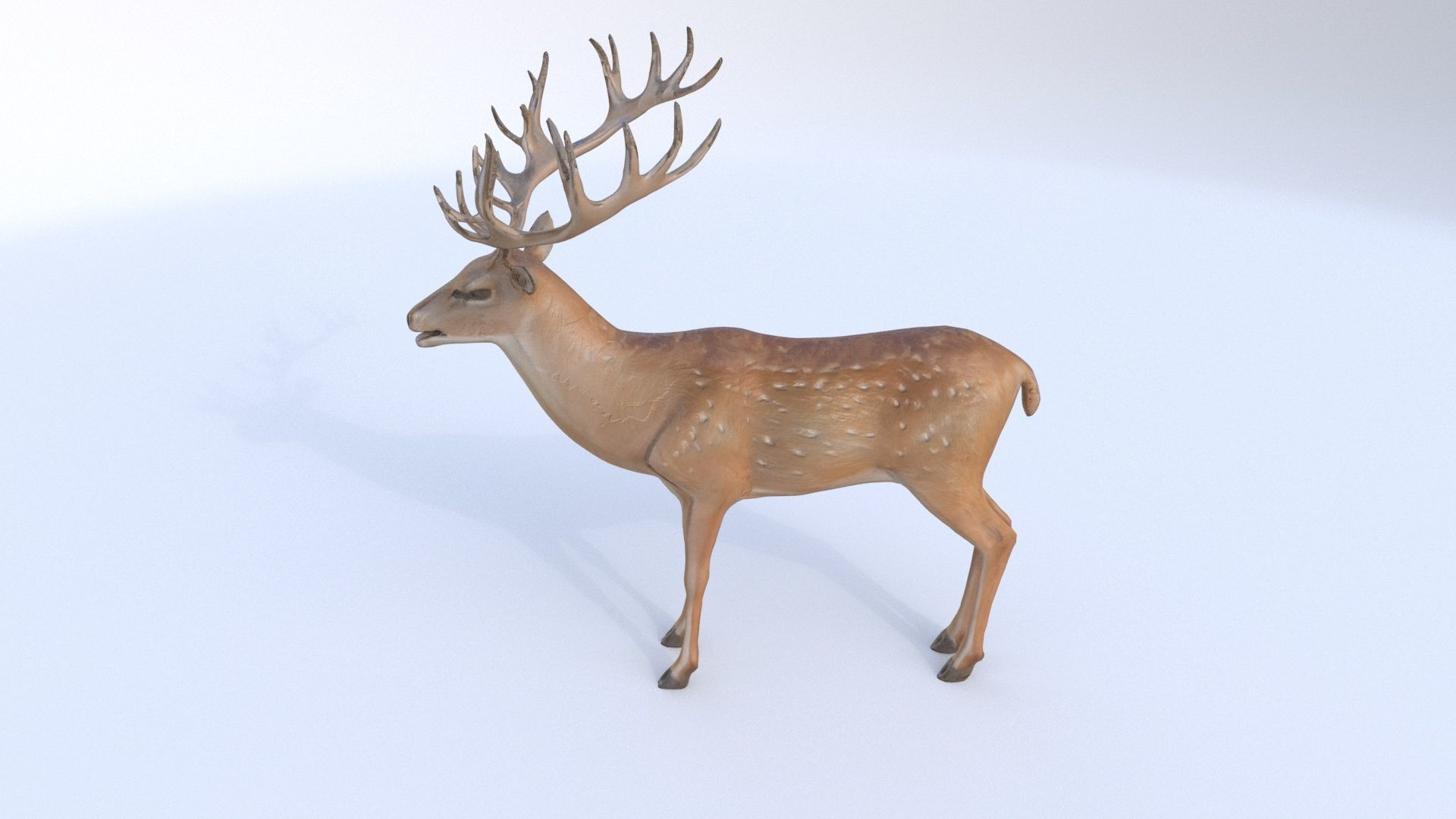 Deer 1 3D model_2