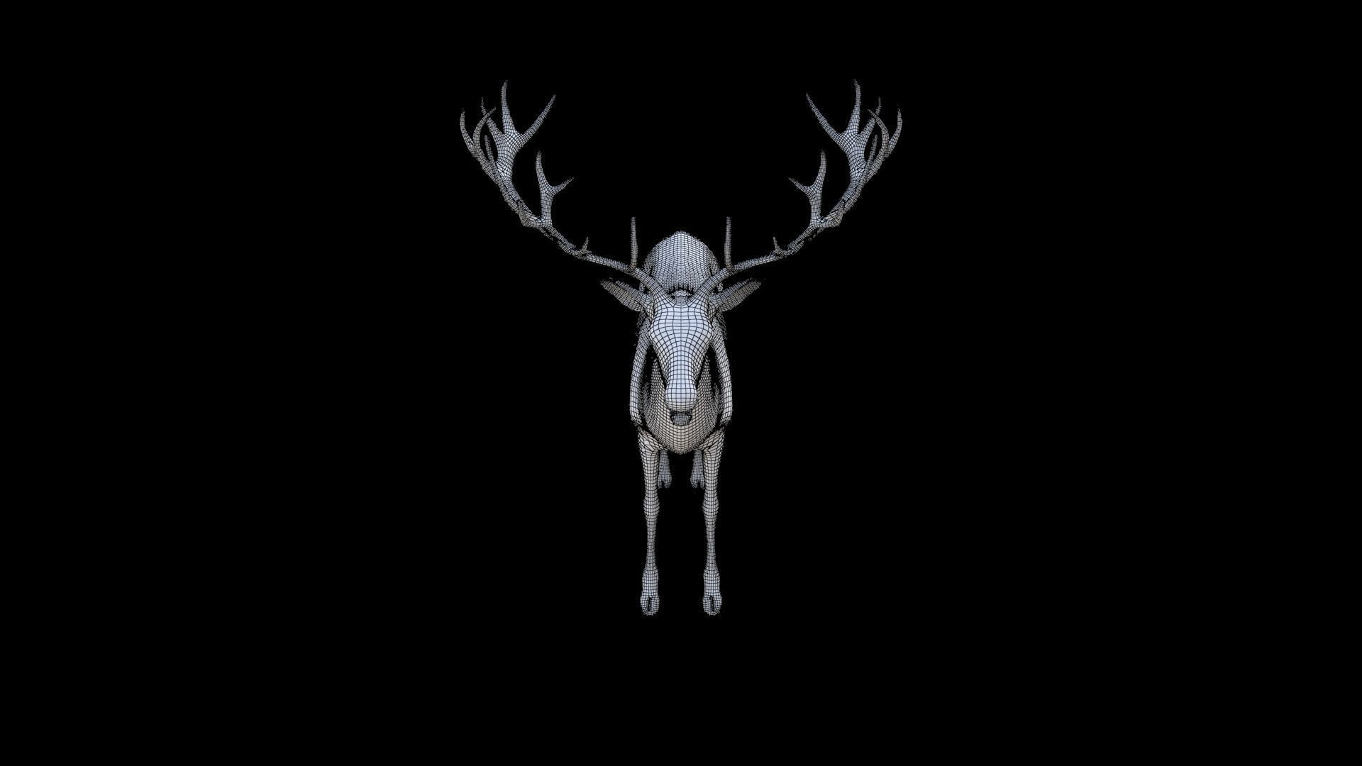 Deer 1 3D model_6