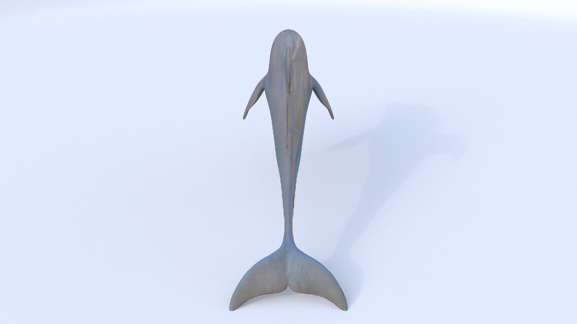 Dolphin 1 3D model_4