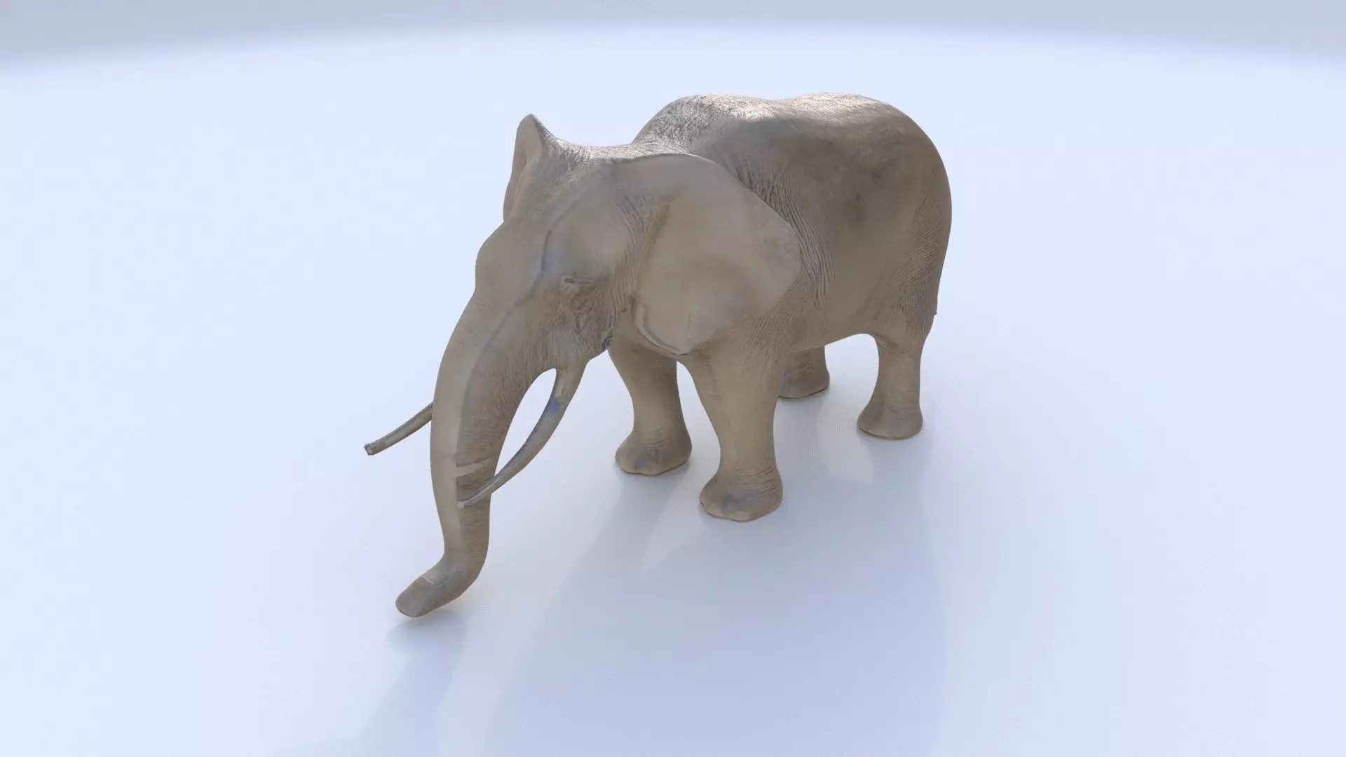 Elephant 1 3D model_0