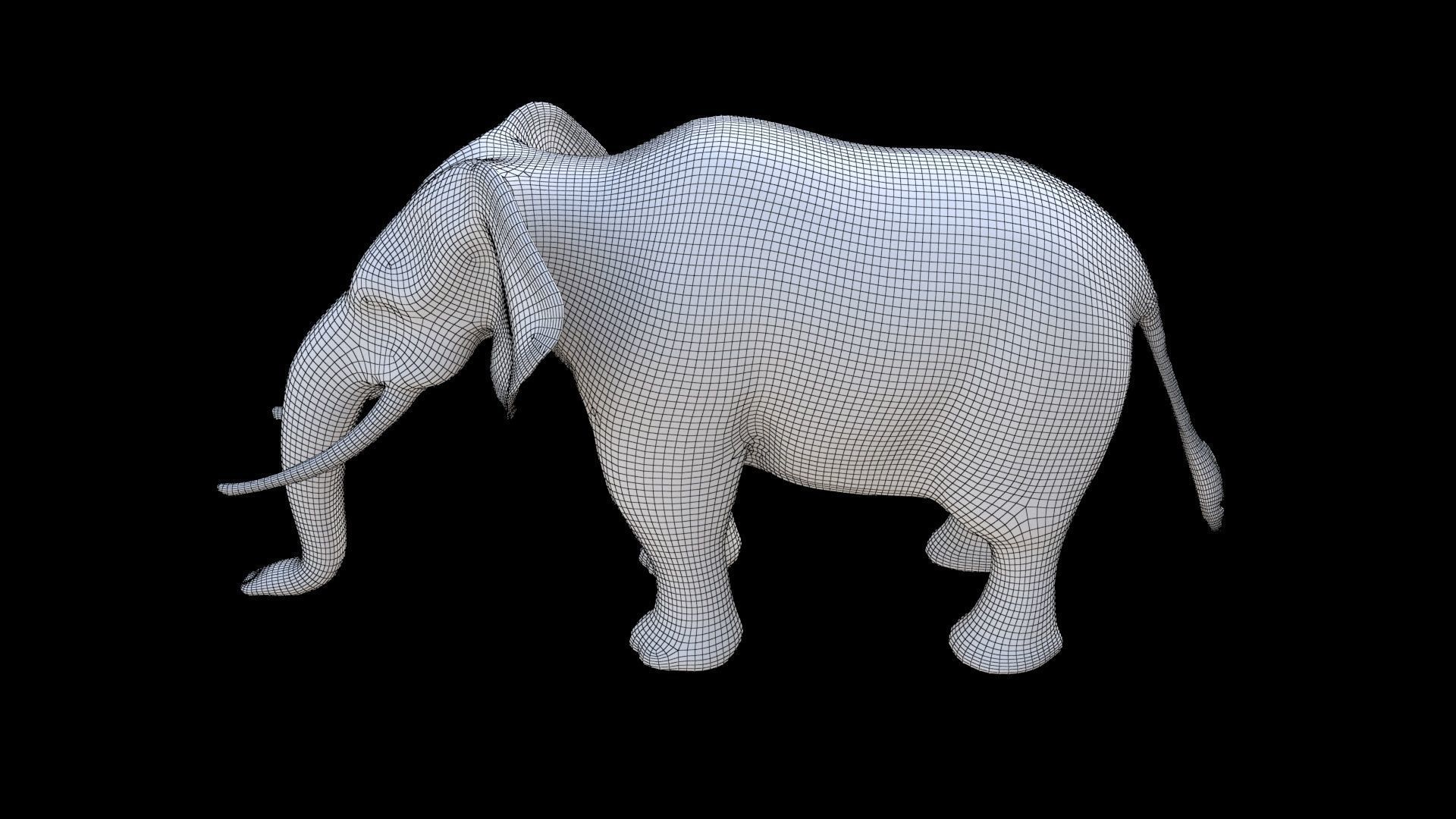Elephant 1 3D model_6