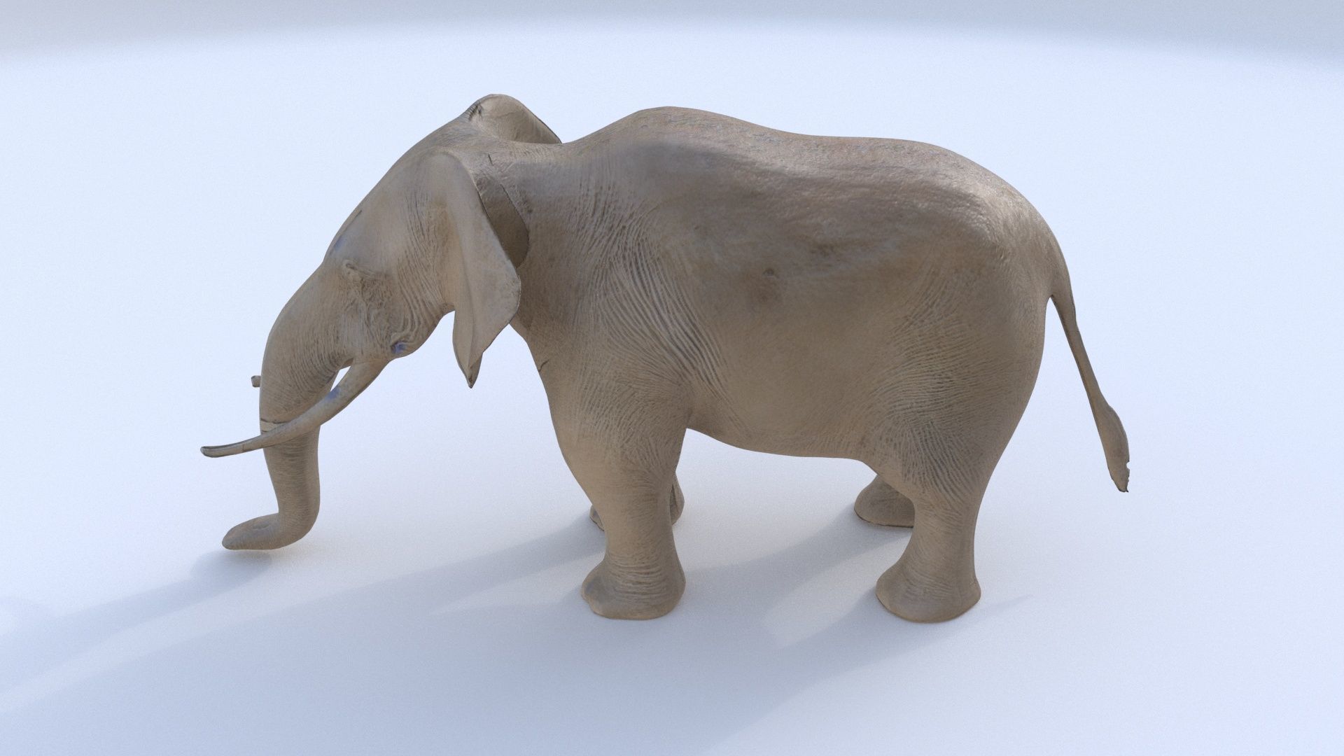 Elephant 1 3D model_1