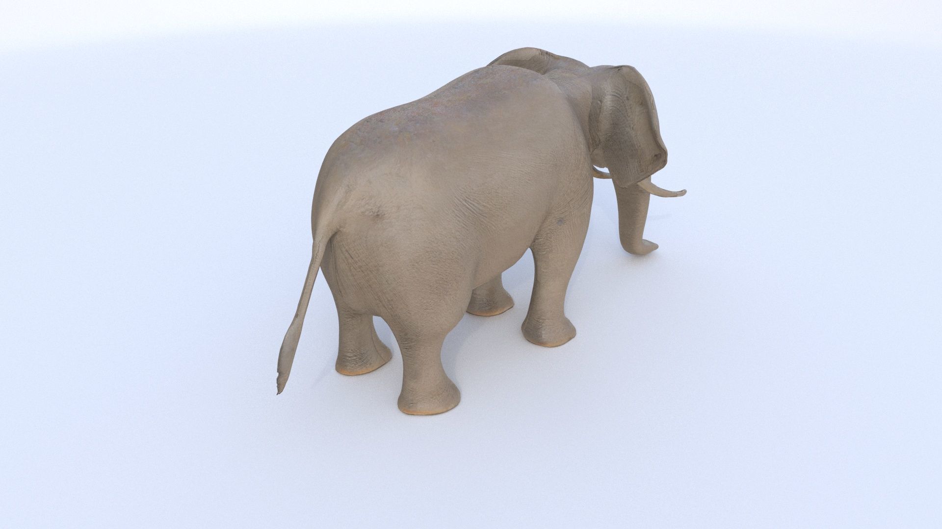 Elephant 1 3D model_3