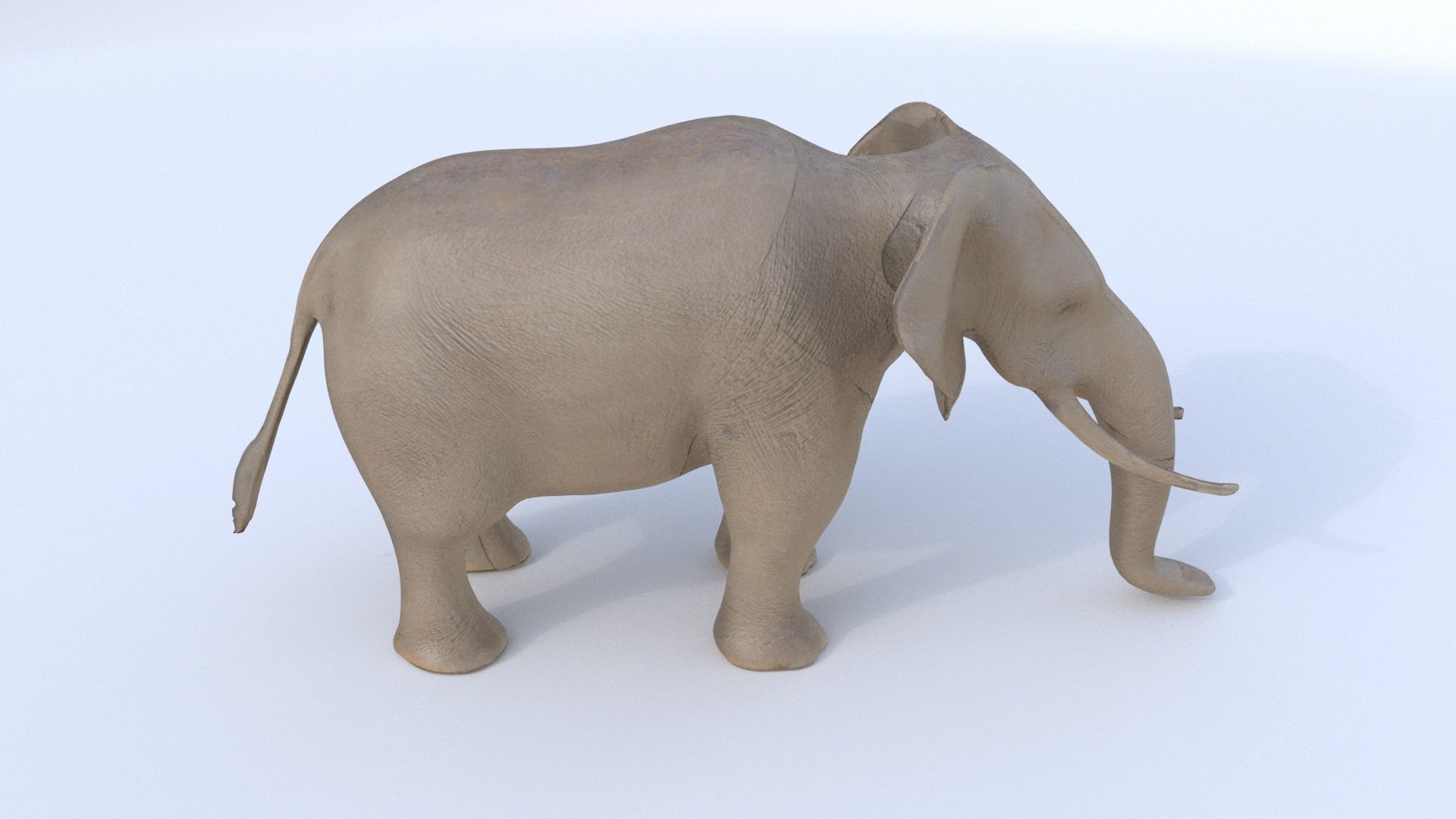 Elephant 1 3D model_4