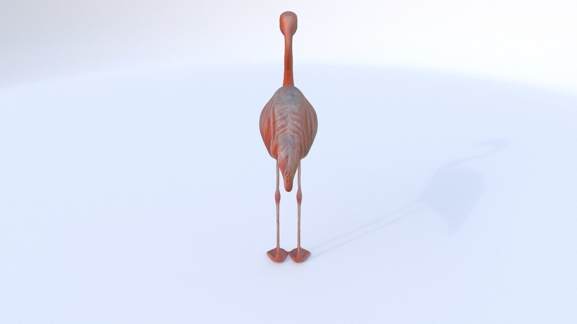 Flamingo 3D model_4