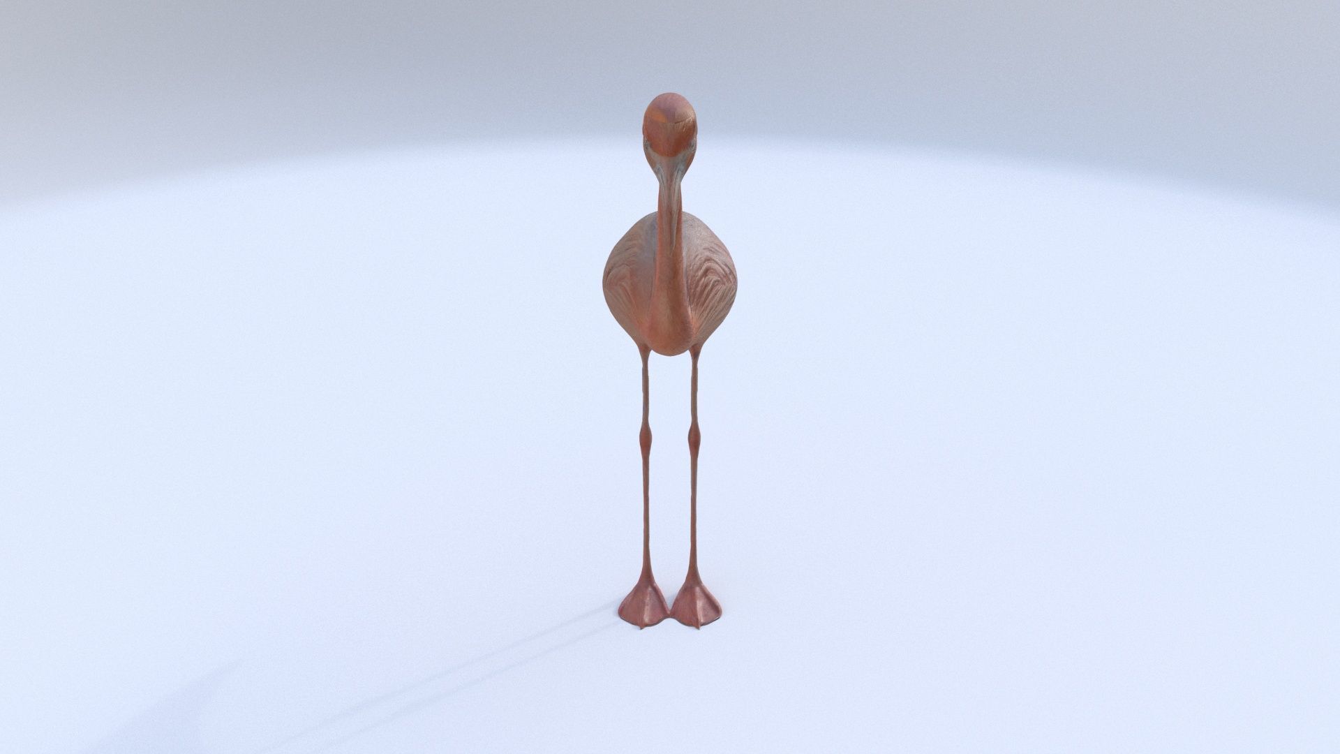 Flamingo 3D model_1