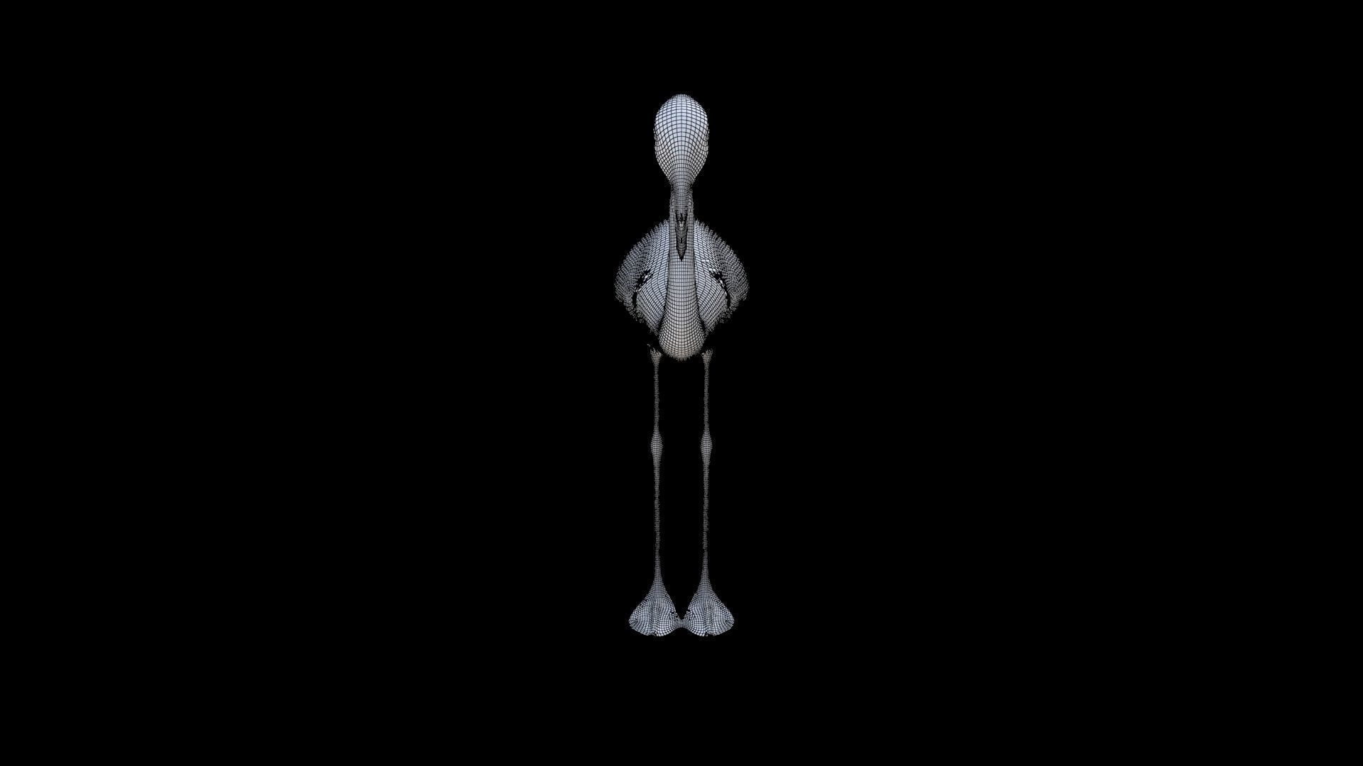 Flamingo 3D model_6