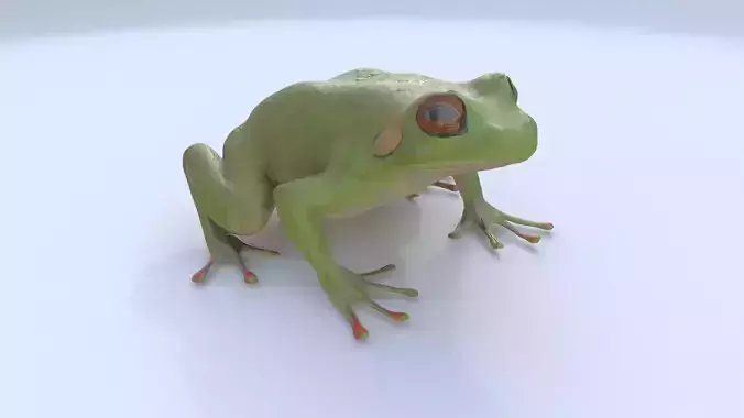 Frog 1 3D model