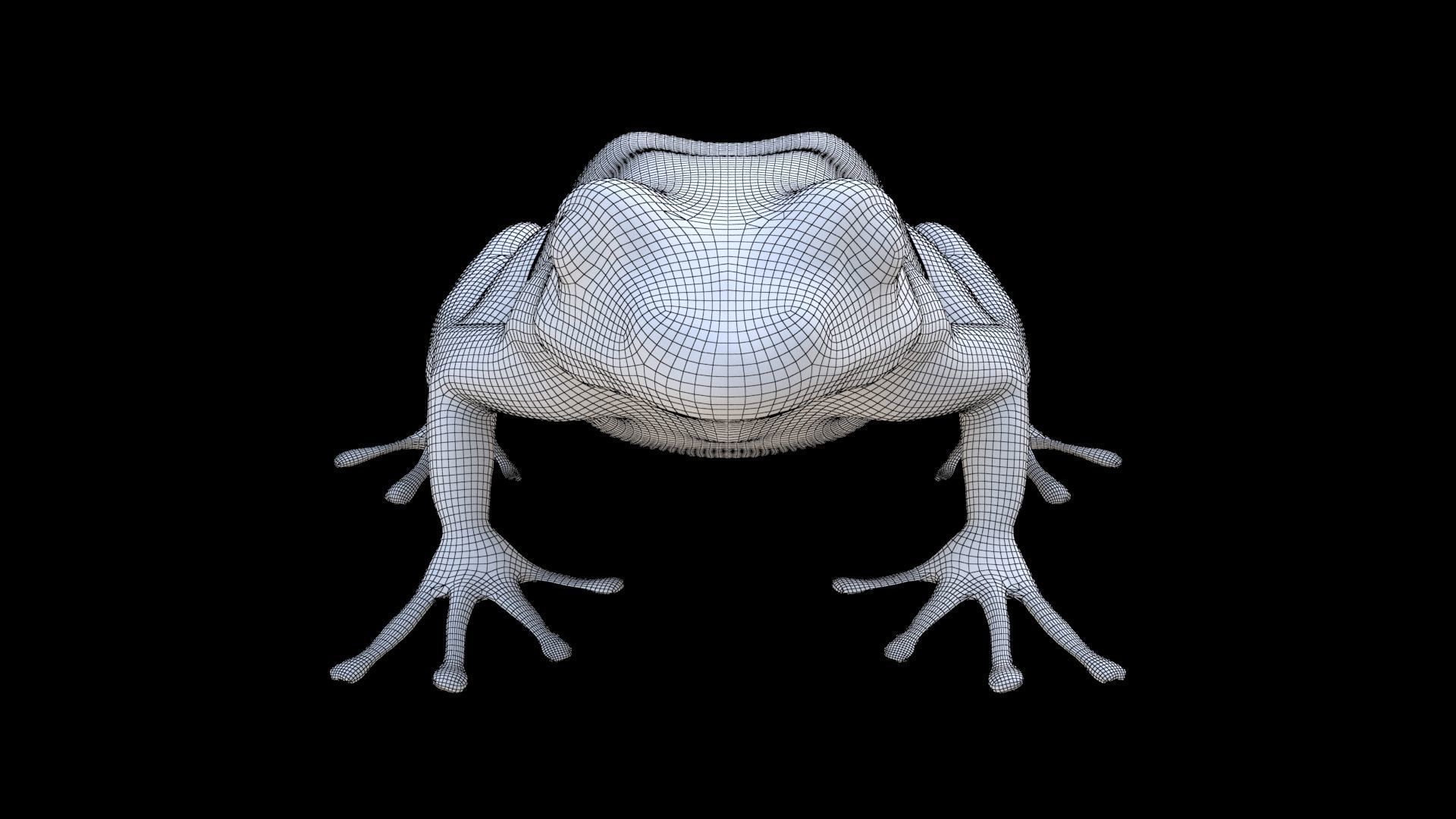 Frog 1 3D model_6