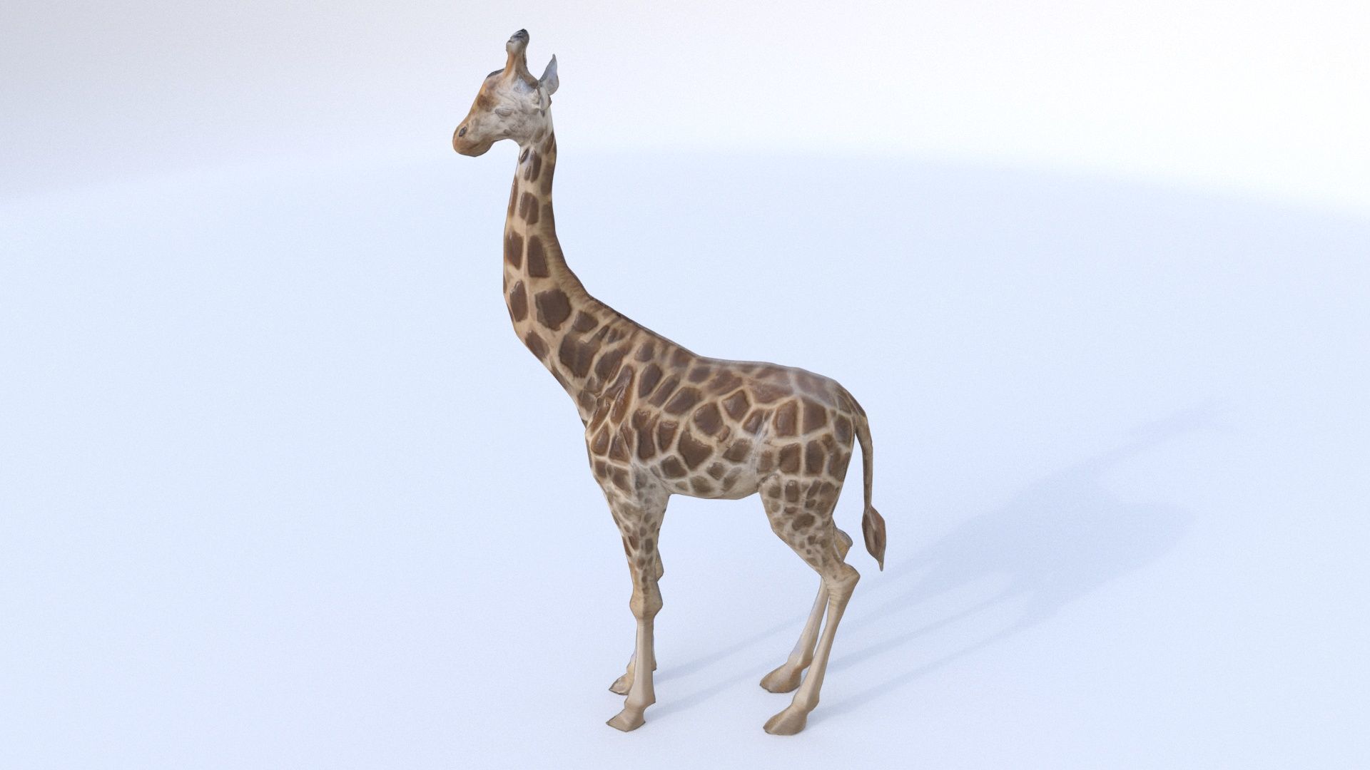 Giraffe 3D model_4