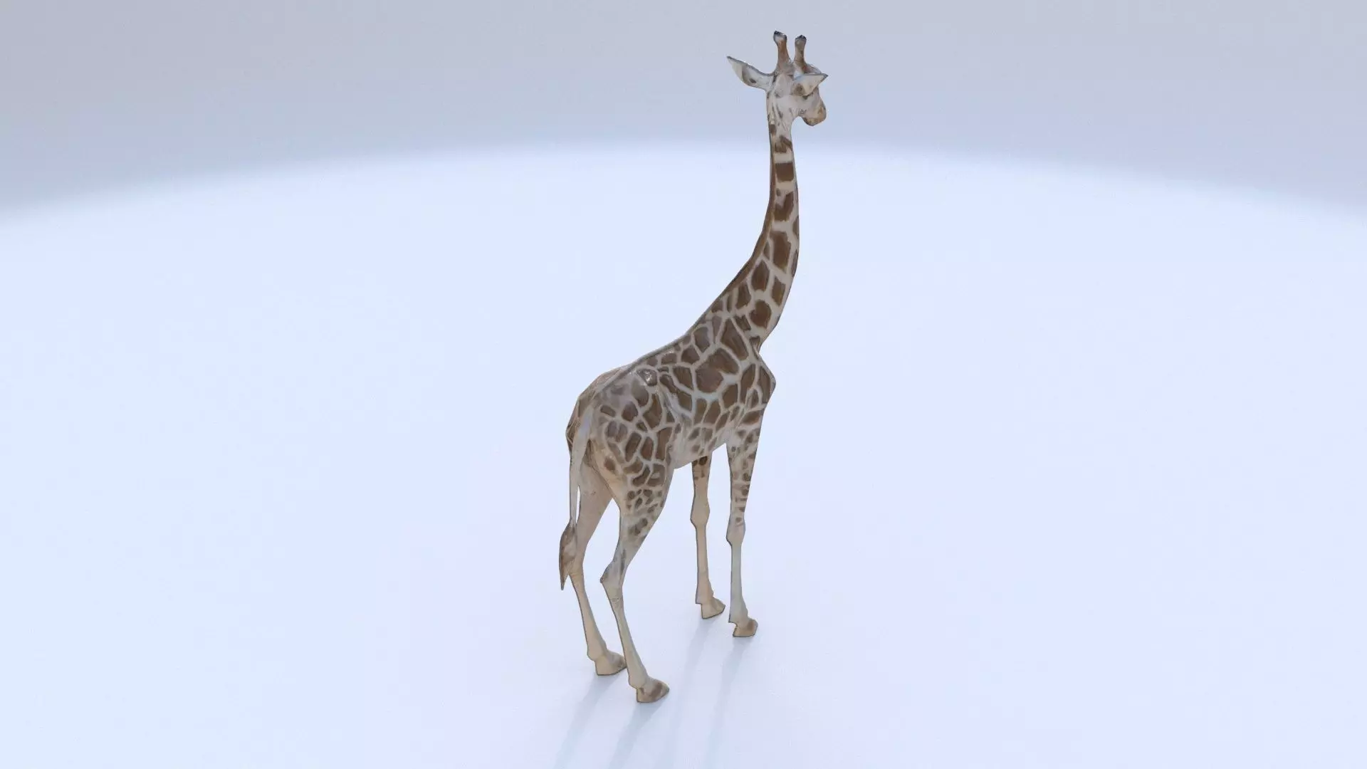Giraffe 3D model_0