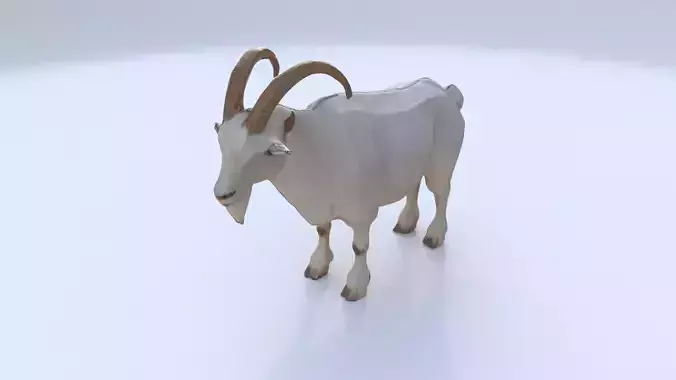 Goat 1 3D model