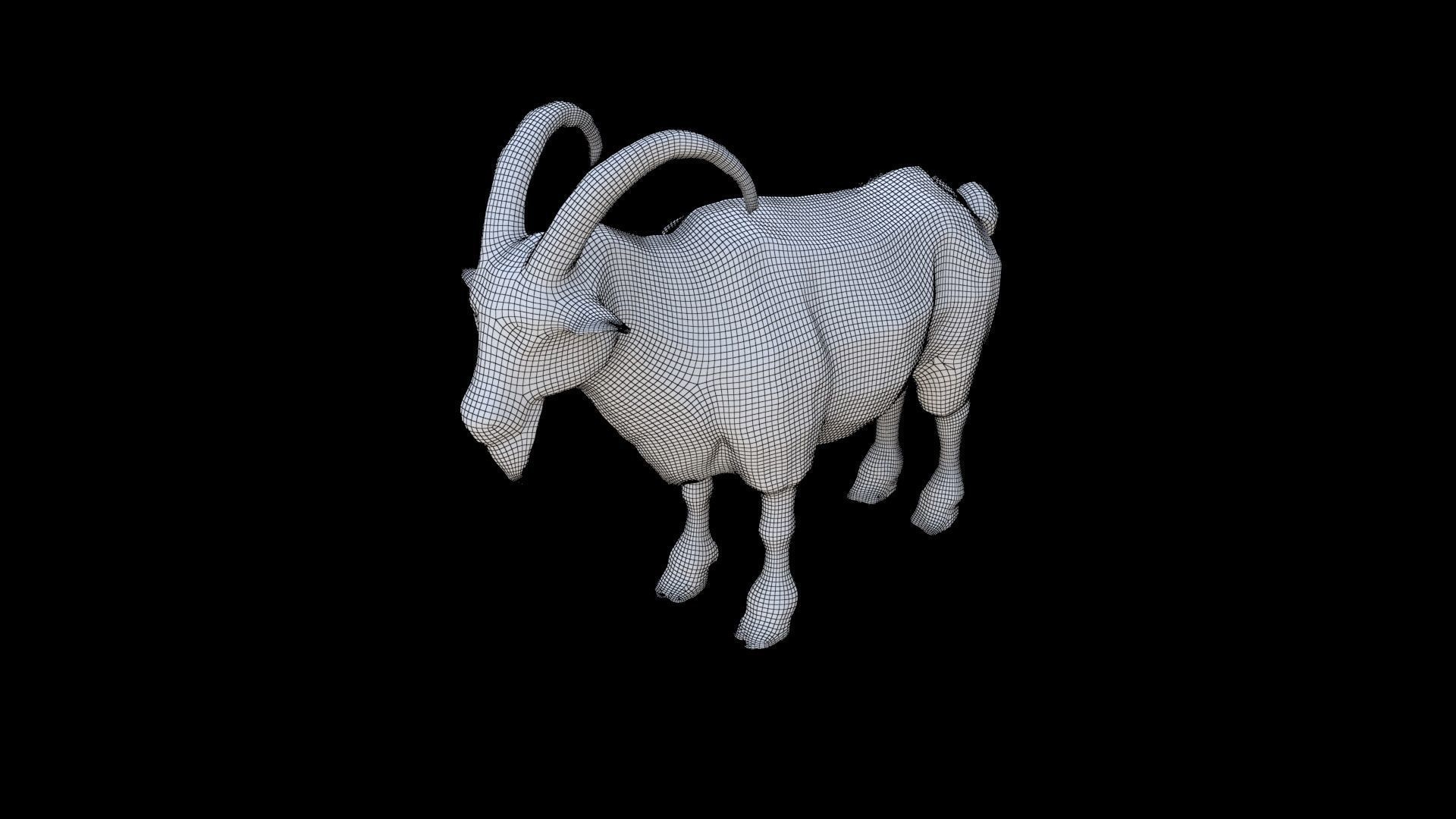 Goat 1 3D model_5