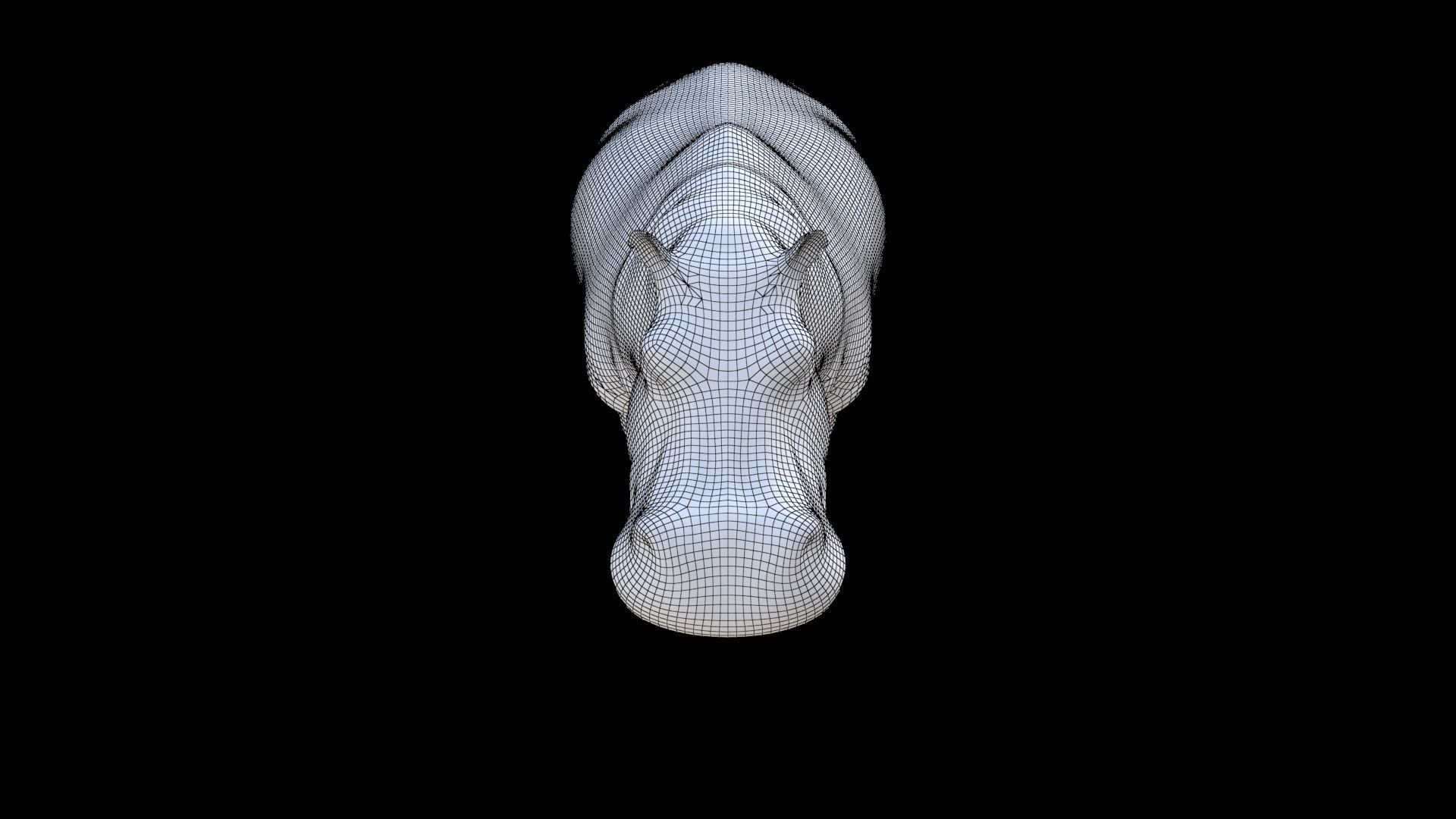 Hippopotamus 3D model_6