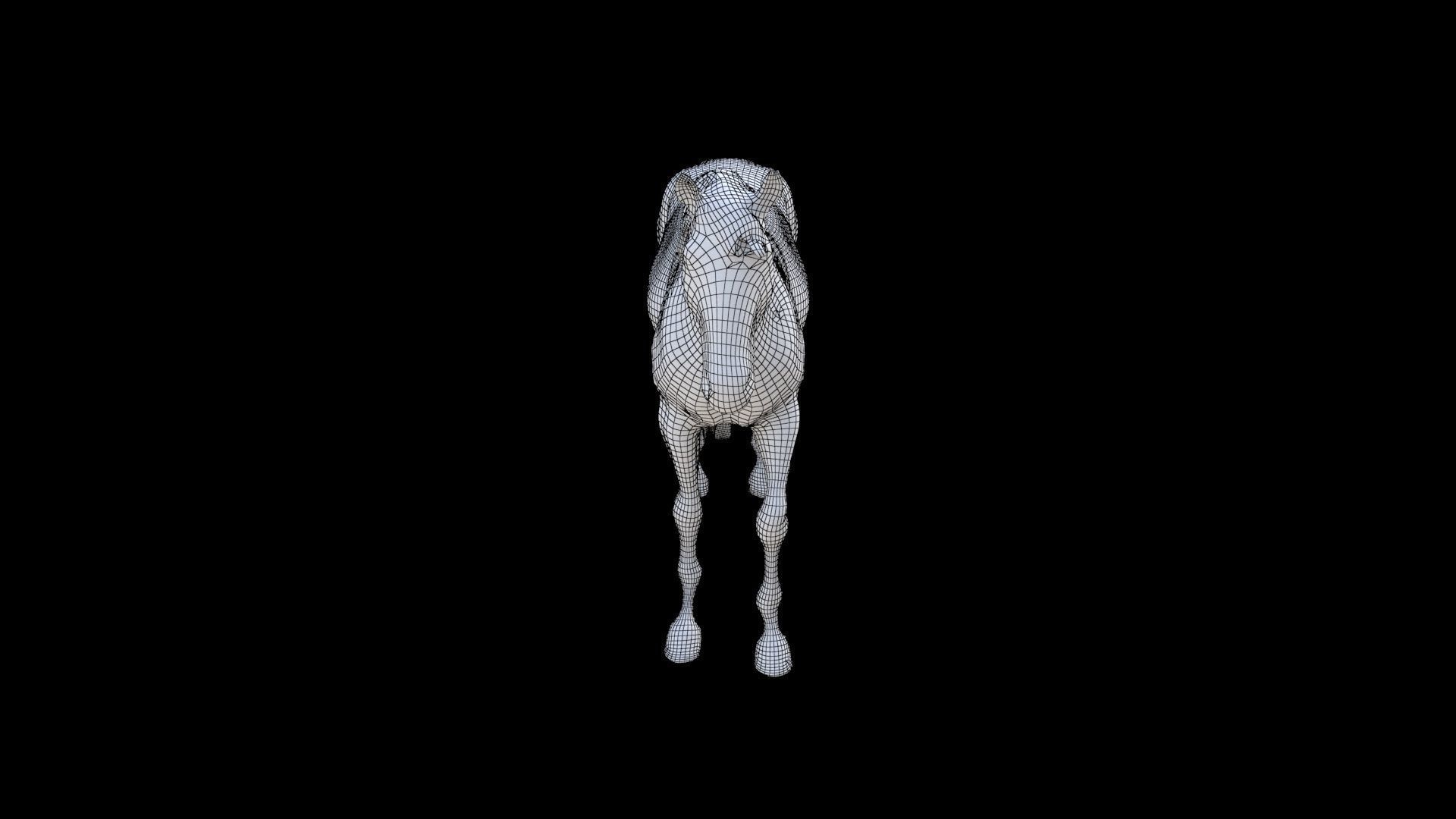 Horse 1 3D model_6