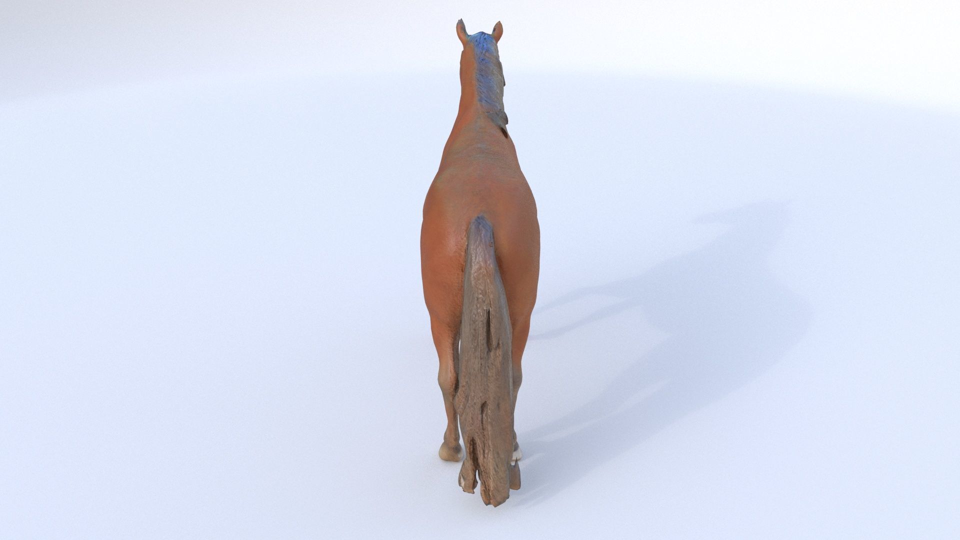 Horse 1 3D model_4