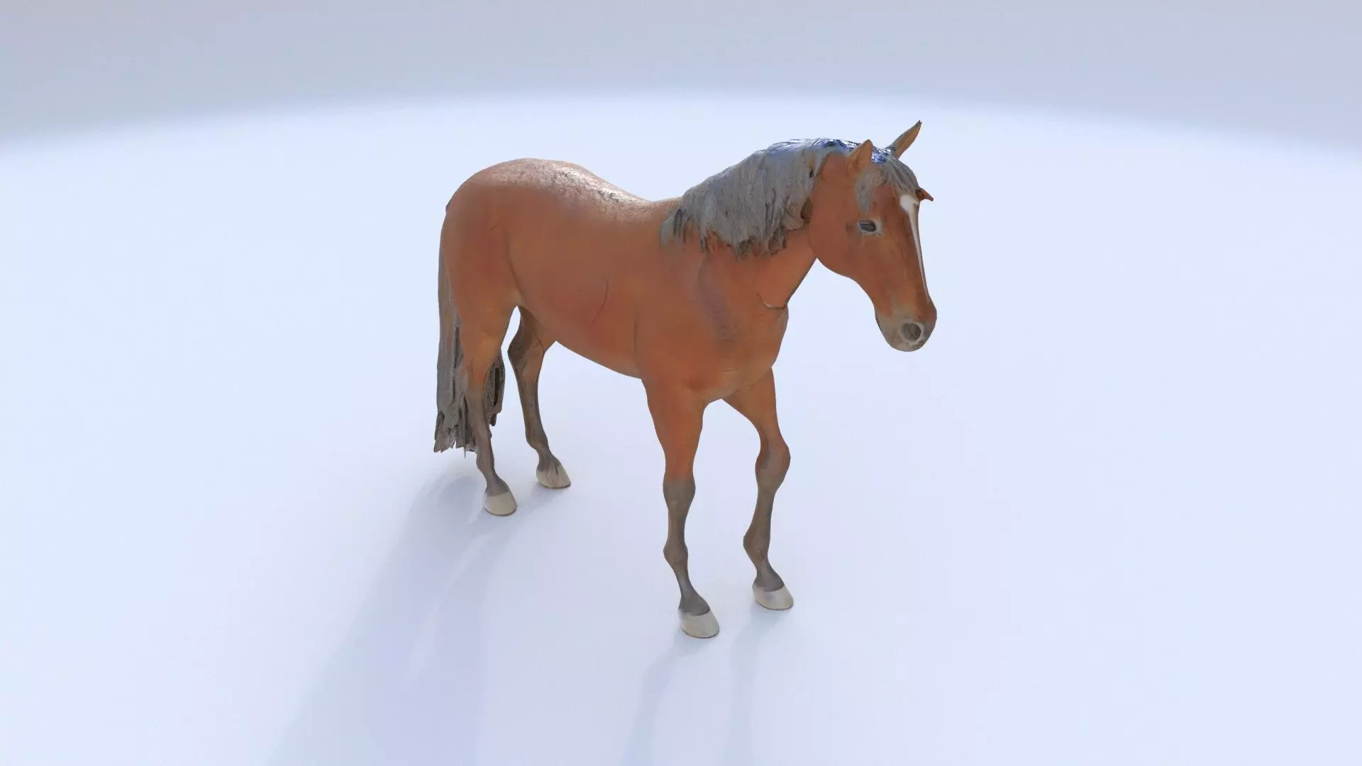 Horse 1 3D model_0