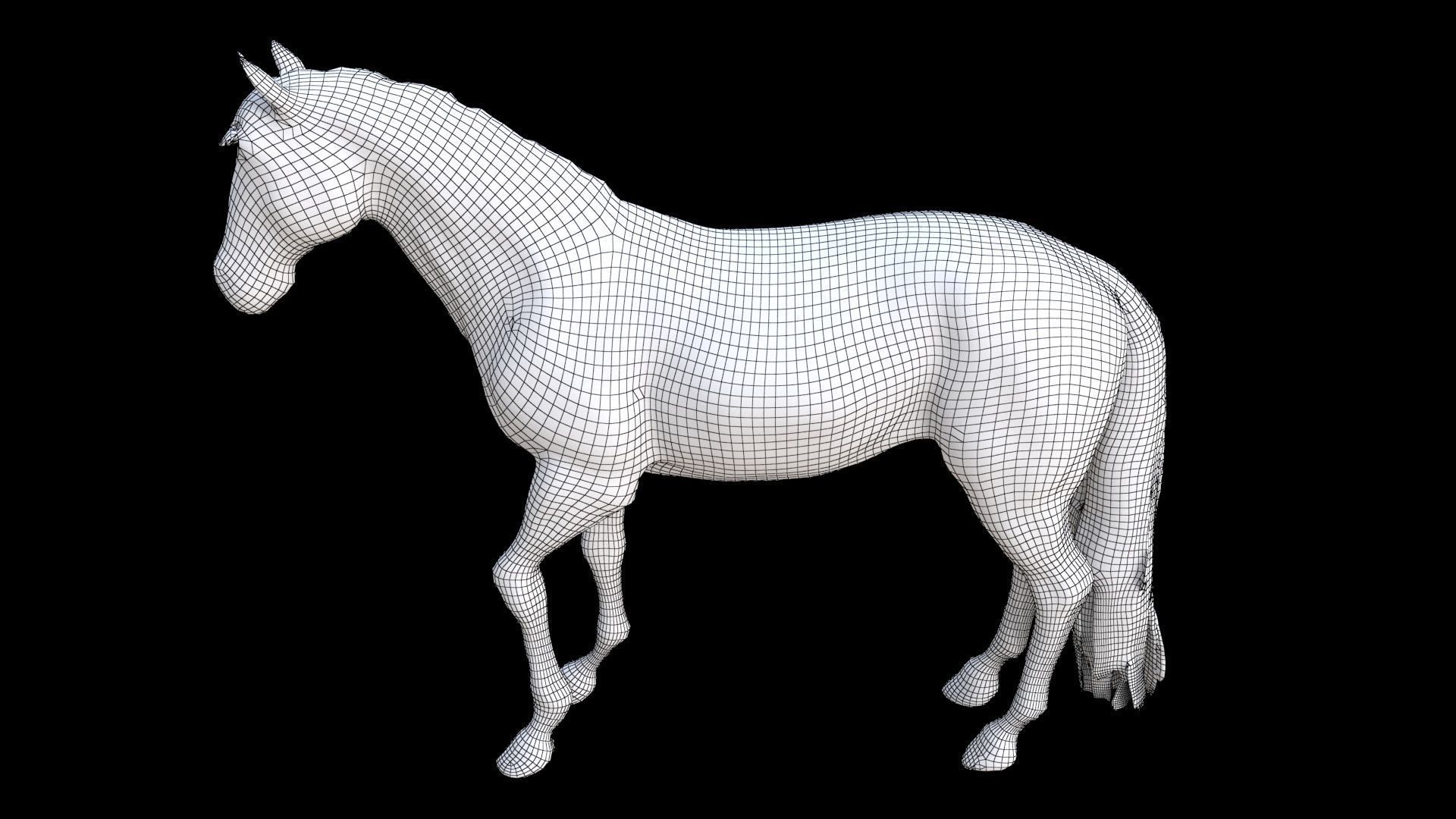 Horse 1 3D model_7