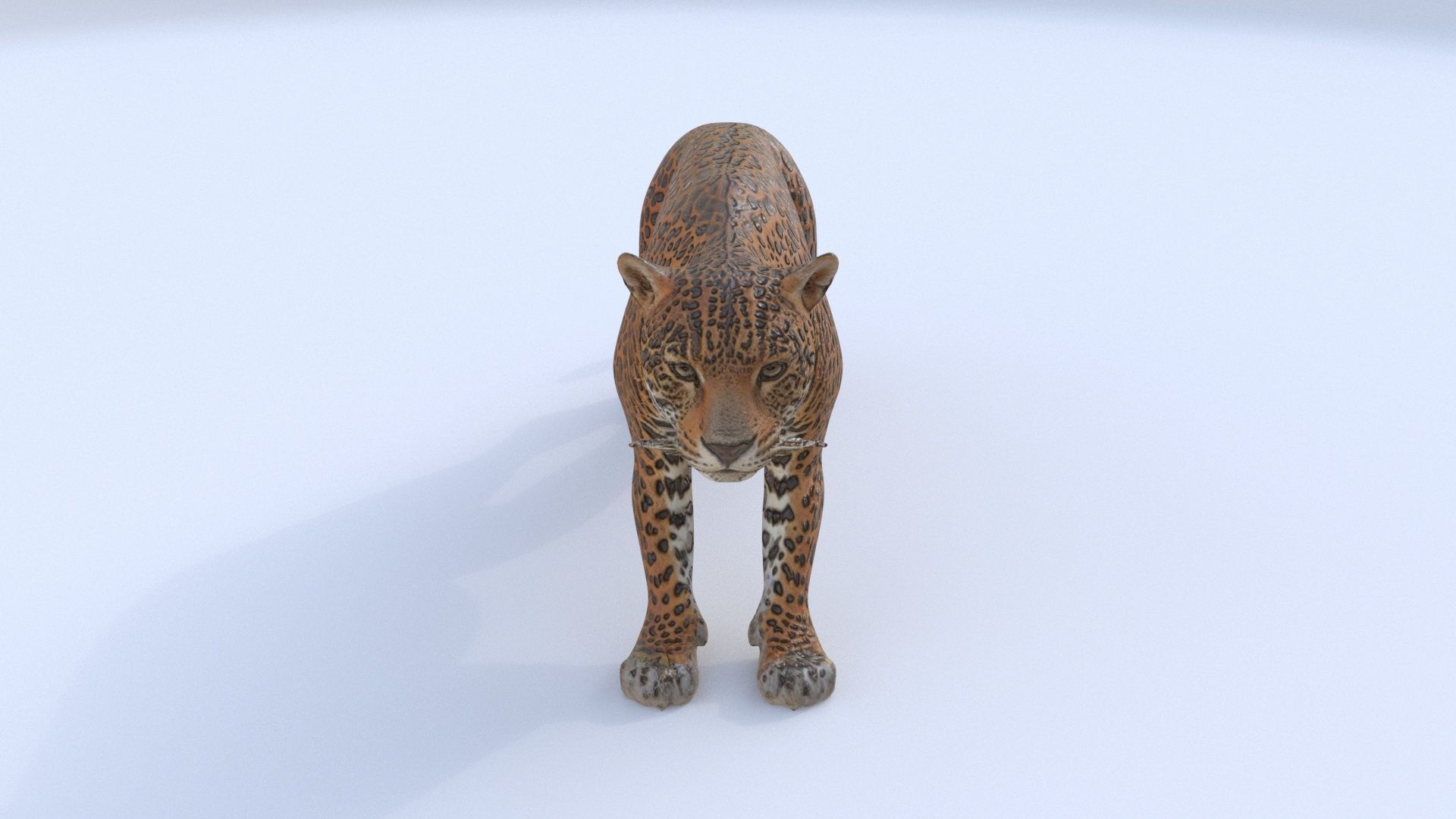 Jaguar 3D model_1