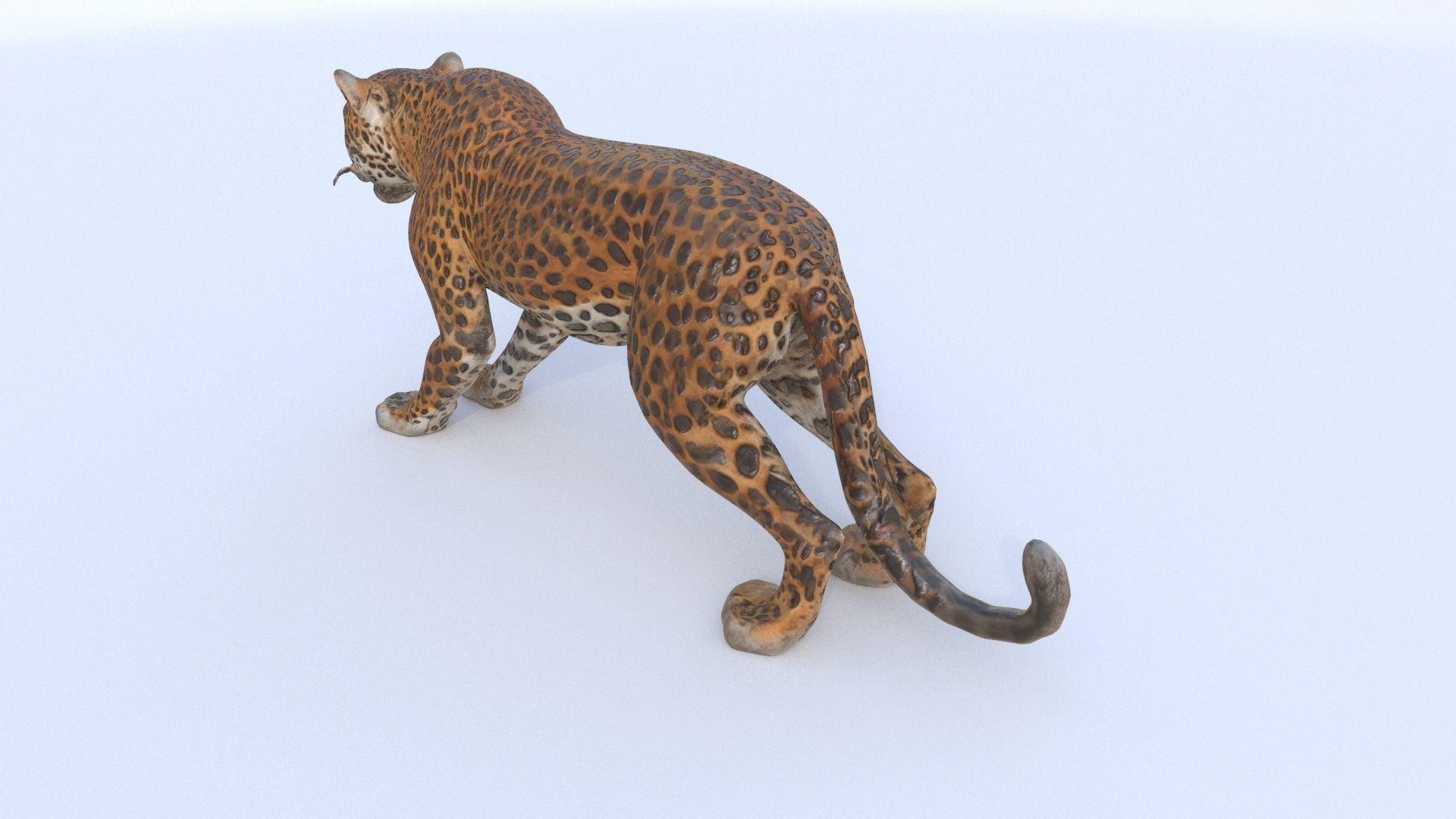 Jaguar 3D model_3