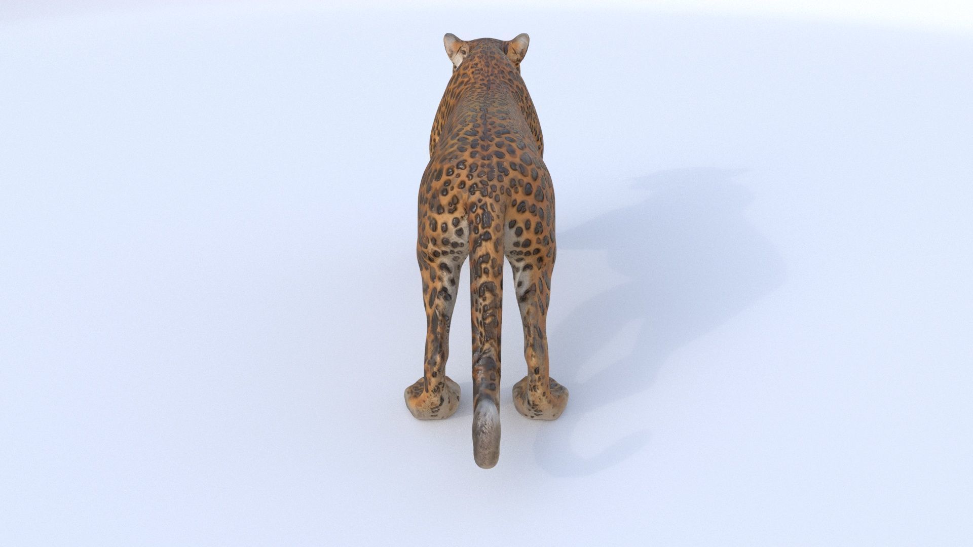 Jaguar 3D model_4