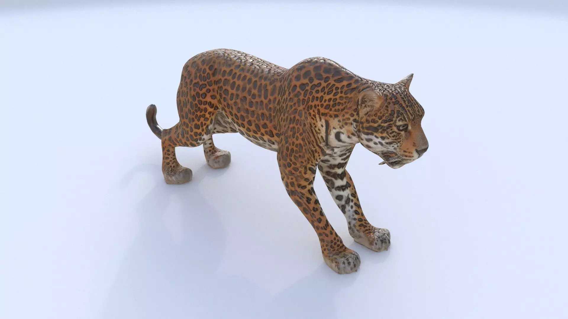 Jaguar 3D model_0