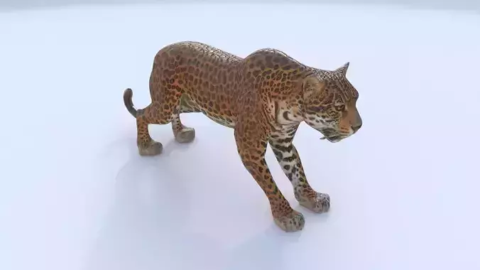 Jaguar 3D model