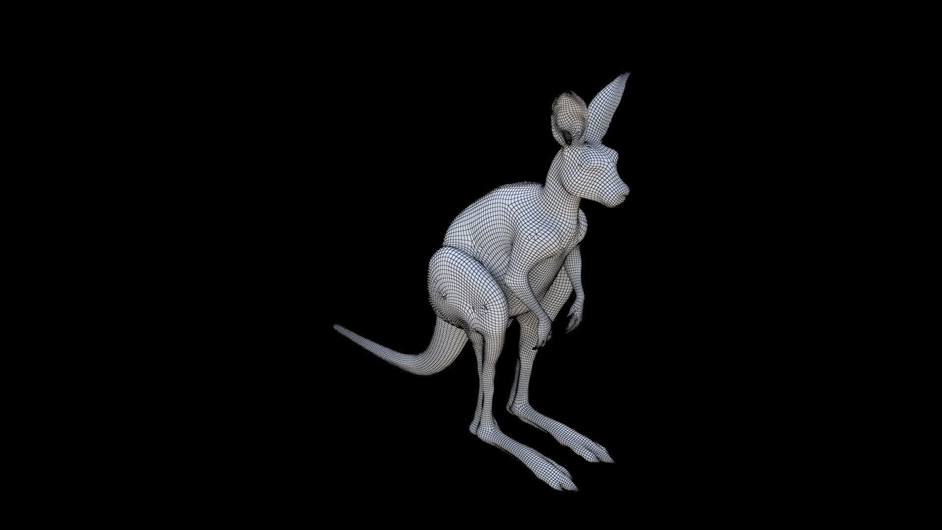 Kangaroo 1 3D model_5