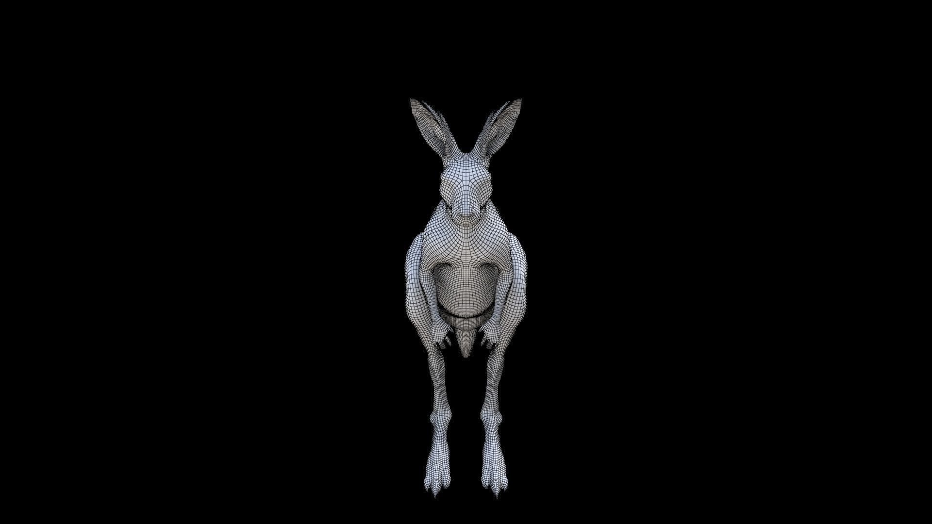 Kangaroo 1 3D model_6