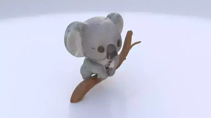 Koala 1