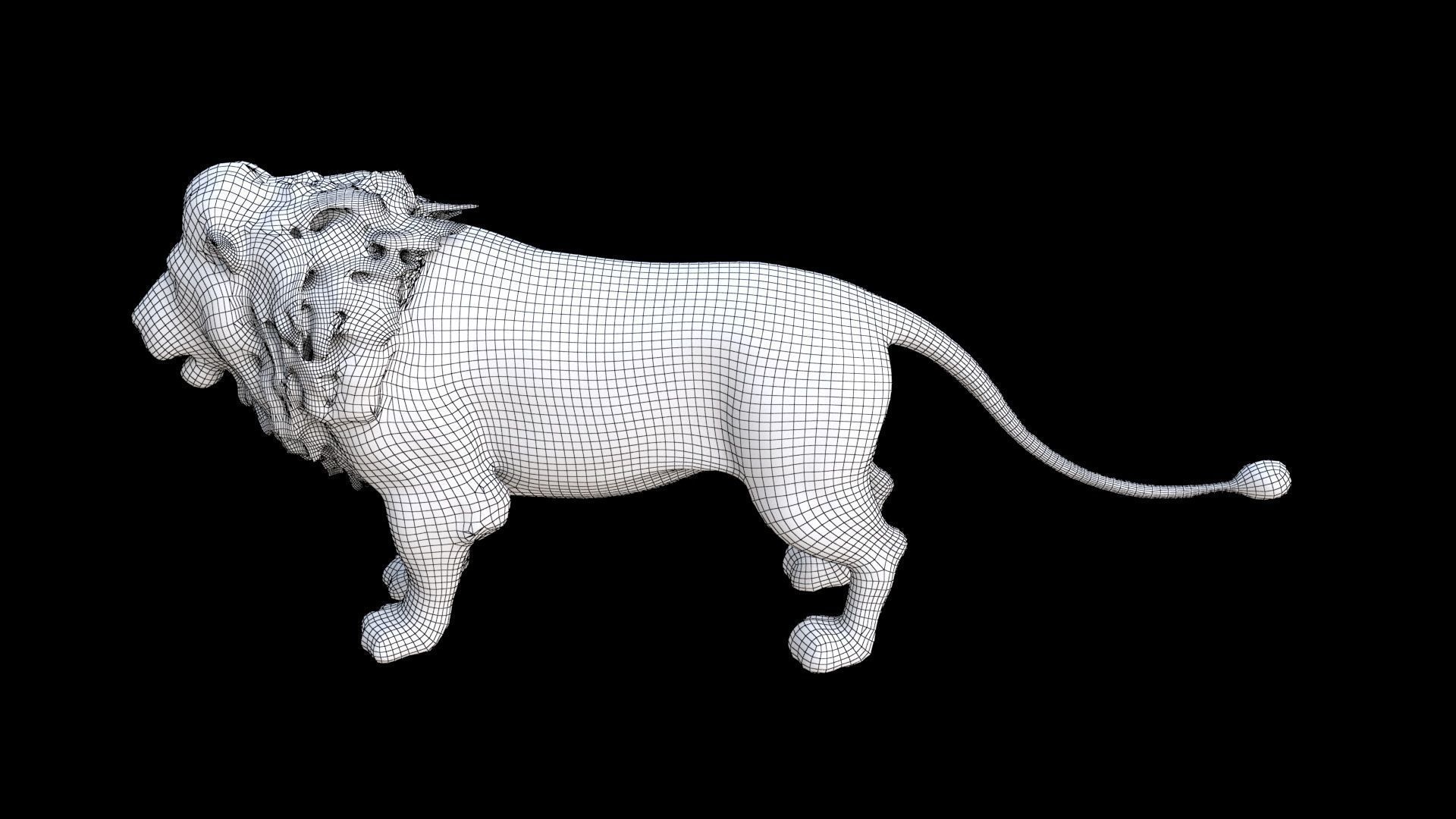 Lion 3D model_7