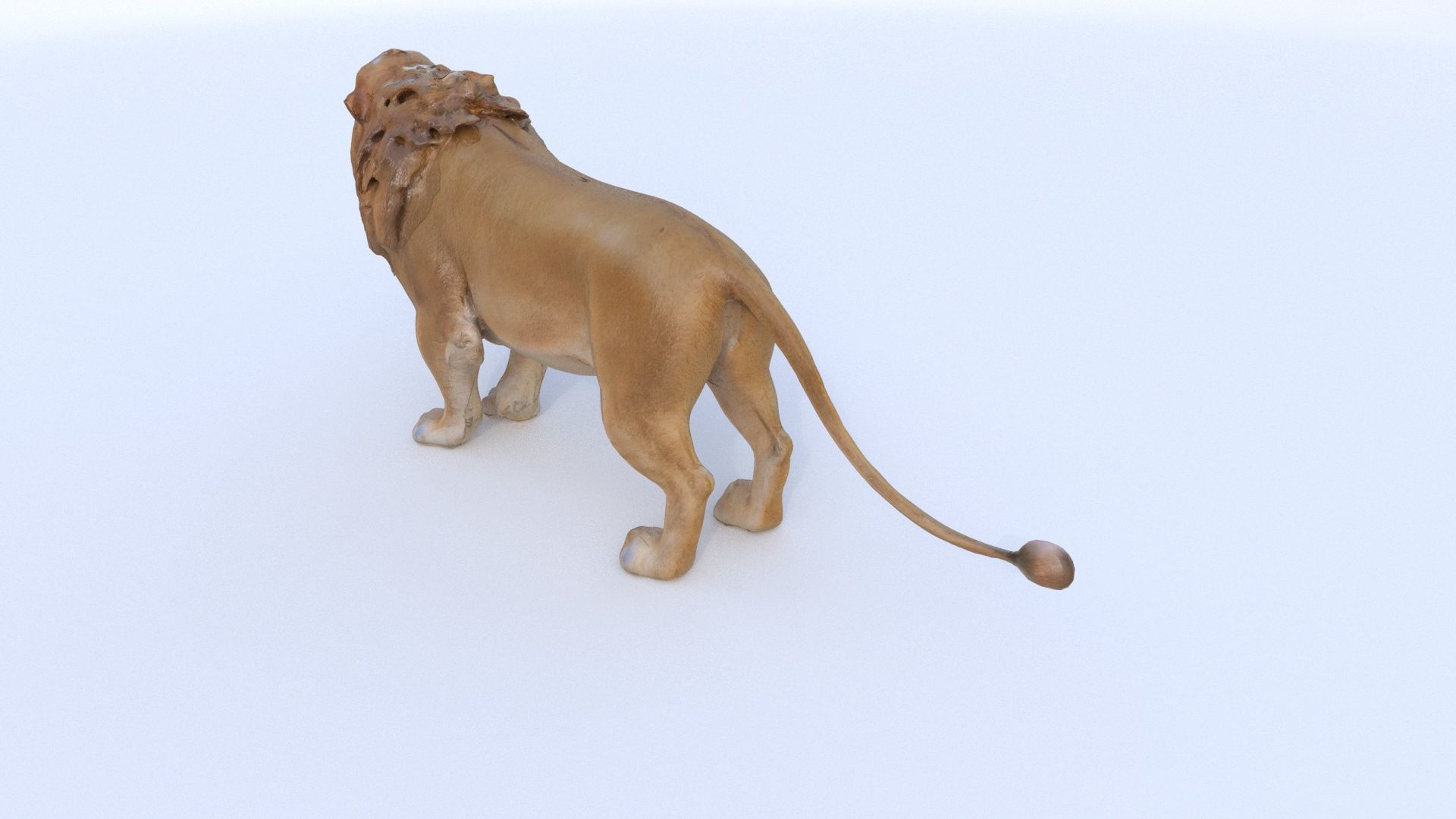 Lion 3D model_3
