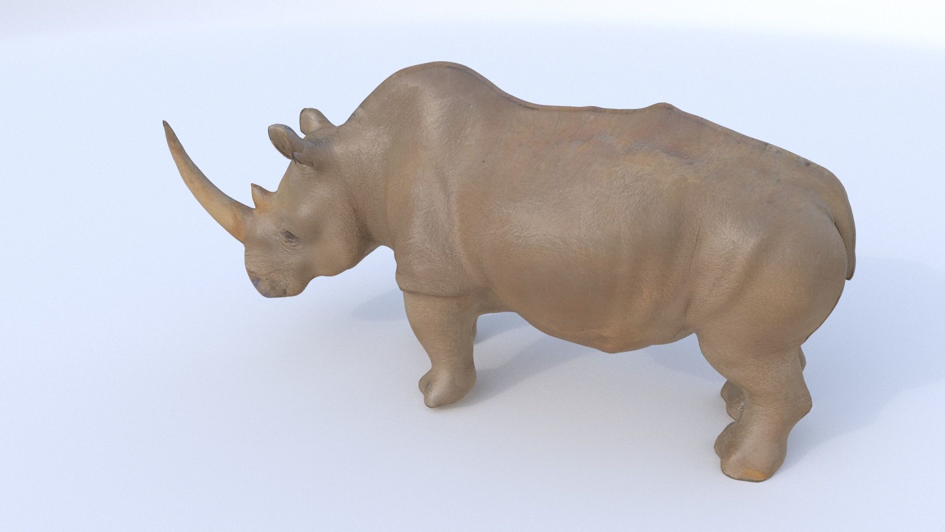 Rhinoceros 1 3D model_4