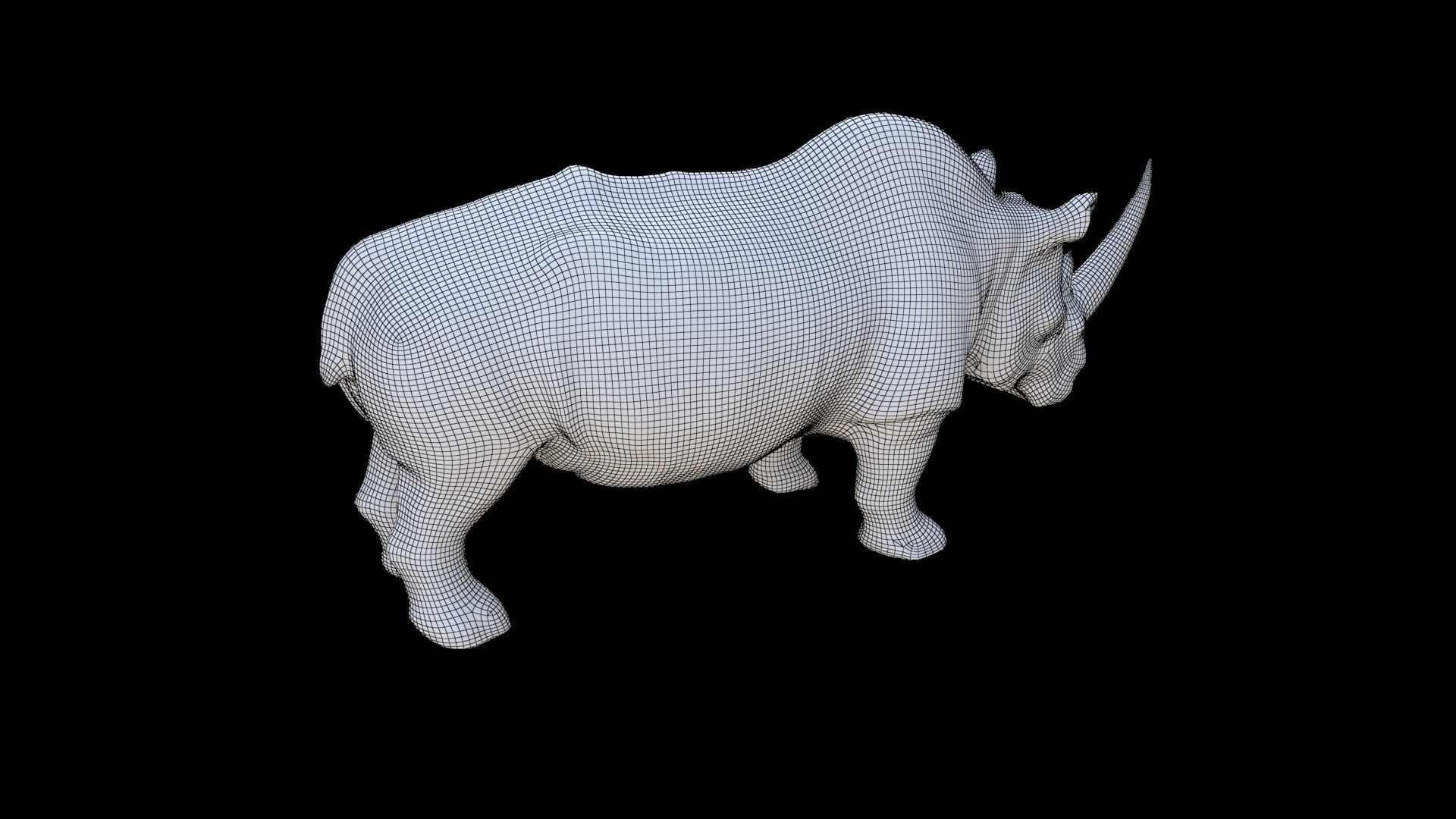 Rhinoceros 1 3D model_5