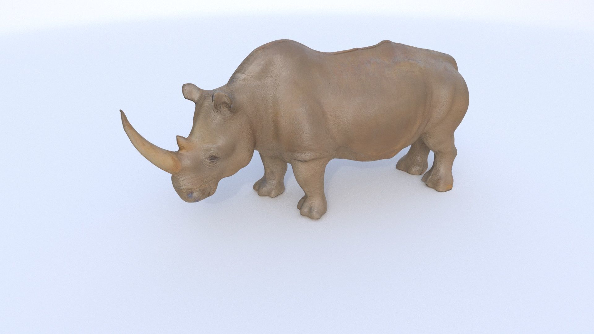 Rhinoceros 1 3D model_3