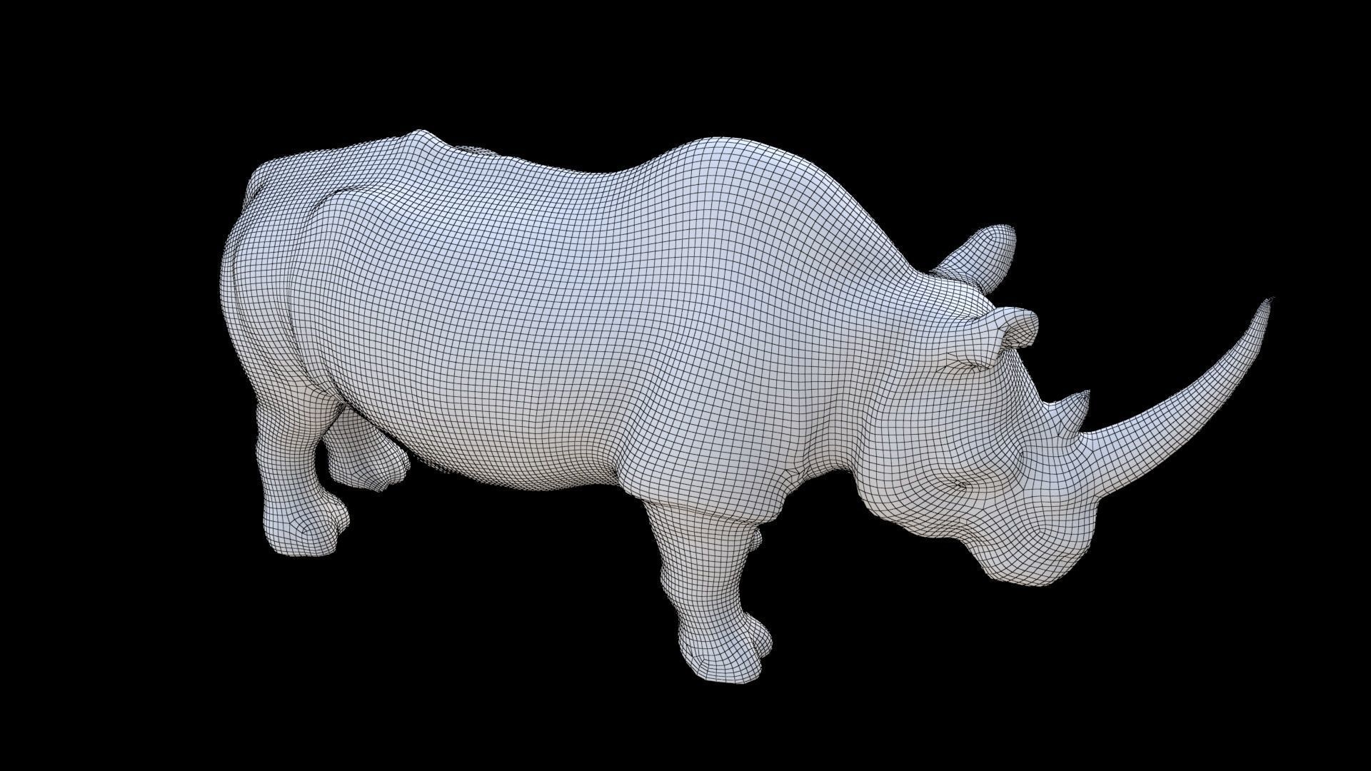 Rhinoceros 1 3D model_6