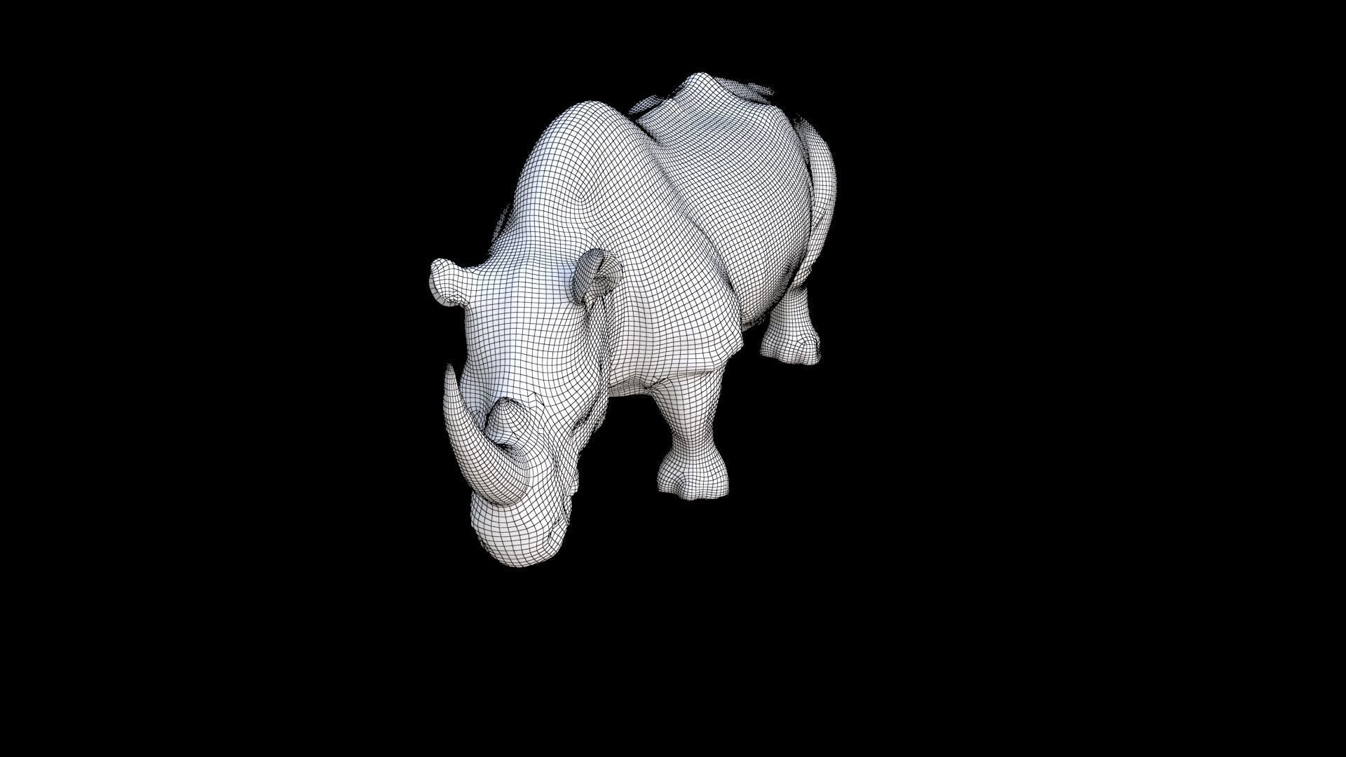 Rhinoceros 1 3D model_7